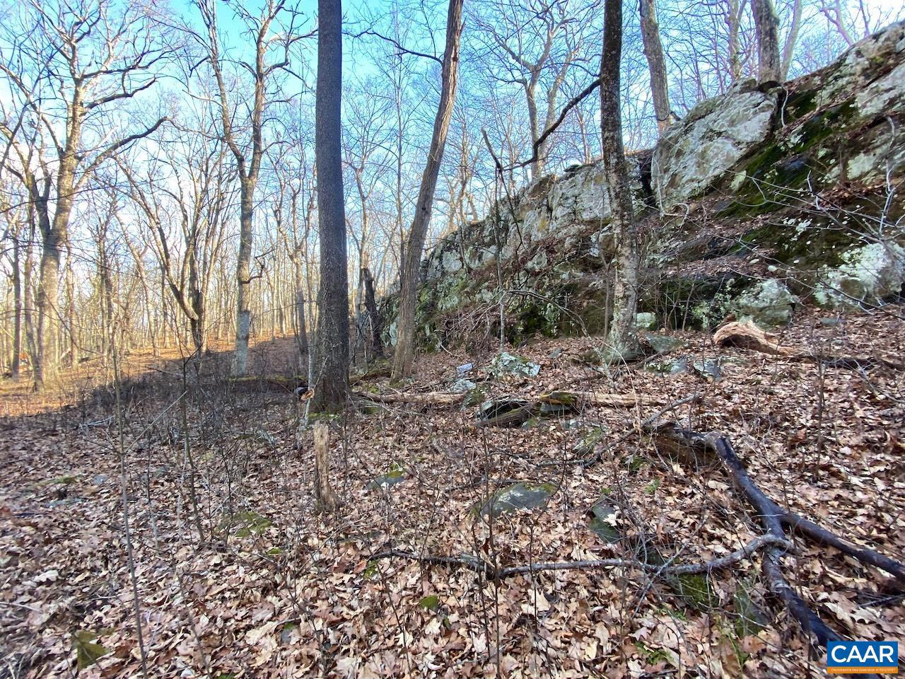 462 DEER SPRINGS LN #101, WINTERGREEN RESORT, Virginia 22967, ,Land,For sale,462 DEER SPRINGS LN #101,672324 MLS # 672324