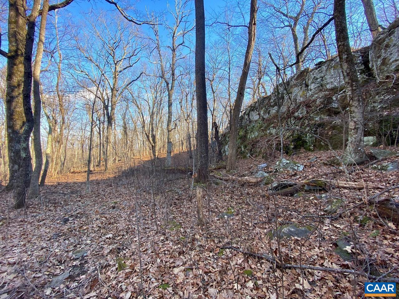 462 DEER SPRINGS LN #101, WINTERGREEN RESORT, Virginia 22967, ,Land,For sale,462 DEER SPRINGS LN #101,672324 MLS # 672324