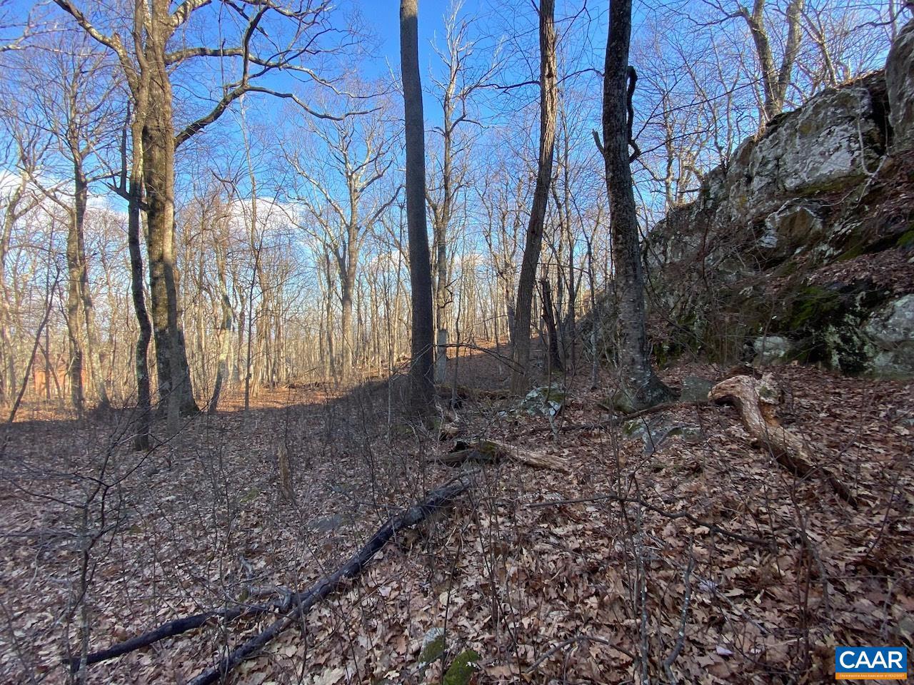 462 DEER SPRINGS LN #101, WINTERGREEN RESORT, Virginia 22967, ,Land,For sale,462 DEER SPRINGS LN #101,672324 MLS # 672324