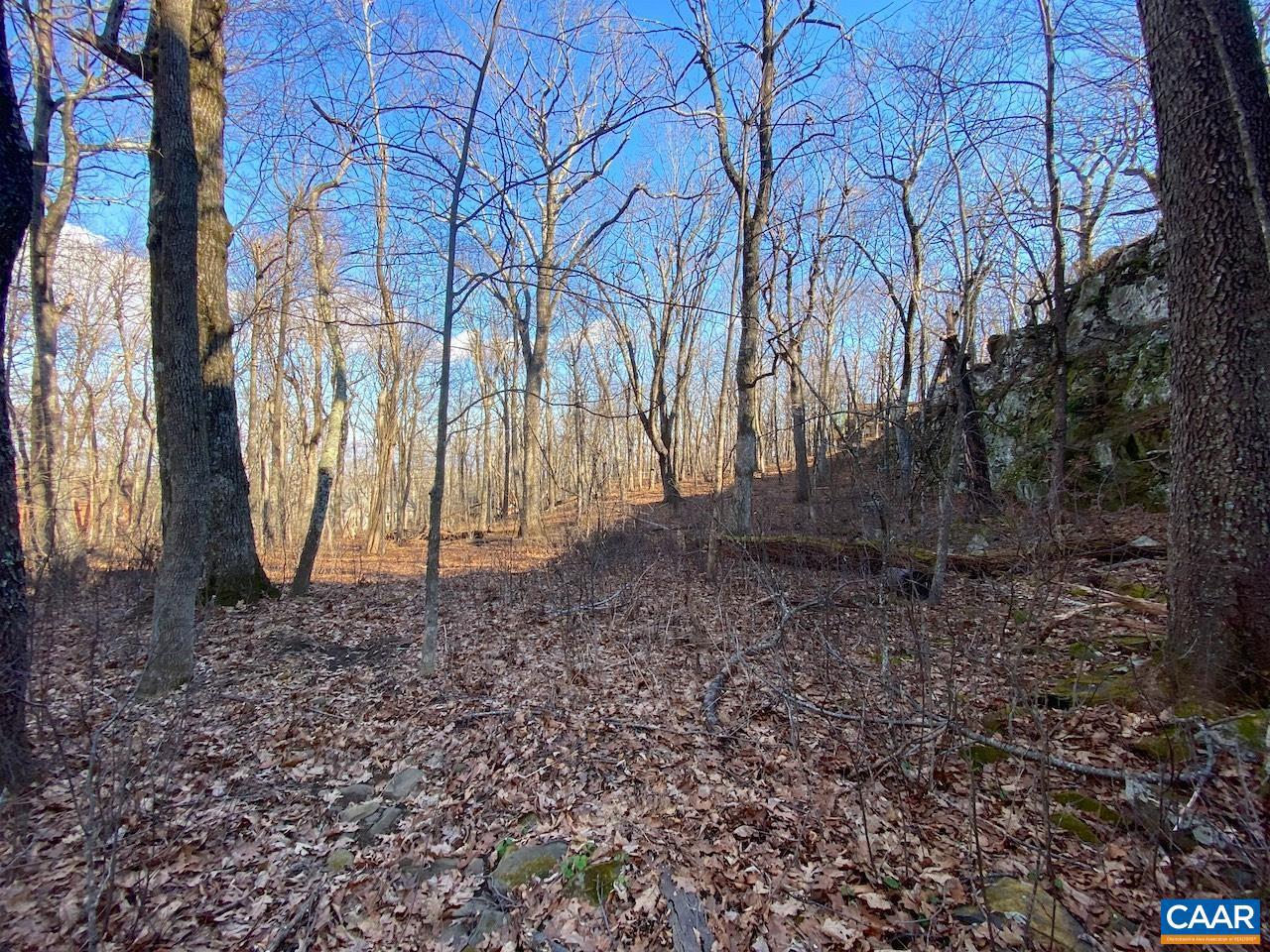 462 DEER SPRINGS LN #101, WINTERGREEN RESORT, Virginia 22967, ,Land,For sale,462 DEER SPRINGS LN #101,672324 MLS # 672324