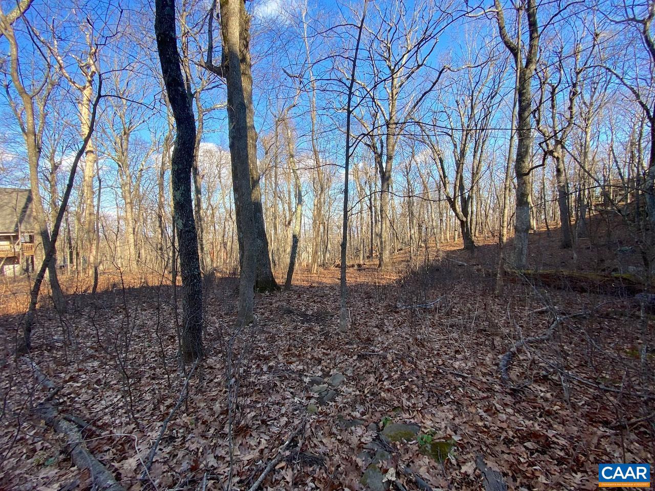 462 DEER SPRINGS LN #101, WINTERGREEN RESORT, Virginia 22967, ,Land,For sale,462 DEER SPRINGS LN #101,672324 MLS # 672324