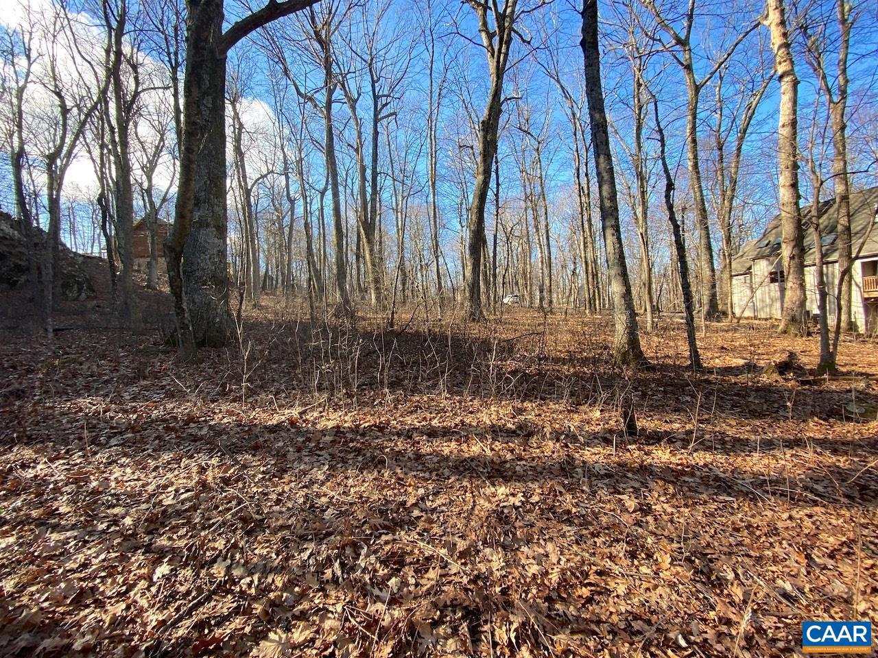 462 DEER SPRINGS LN #101, WINTERGREEN RESORT, Virginia 22967, ,Land,For sale,462 DEER SPRINGS LN #101,672324 MLS # 672324