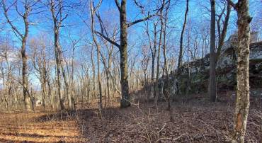 462 DEER SPRINGS LN #101, WINTERGREEN RESORT, Virginia 22967, ,Land,For sale,462 DEER SPRINGS LN #101,672324 MLS # 672324