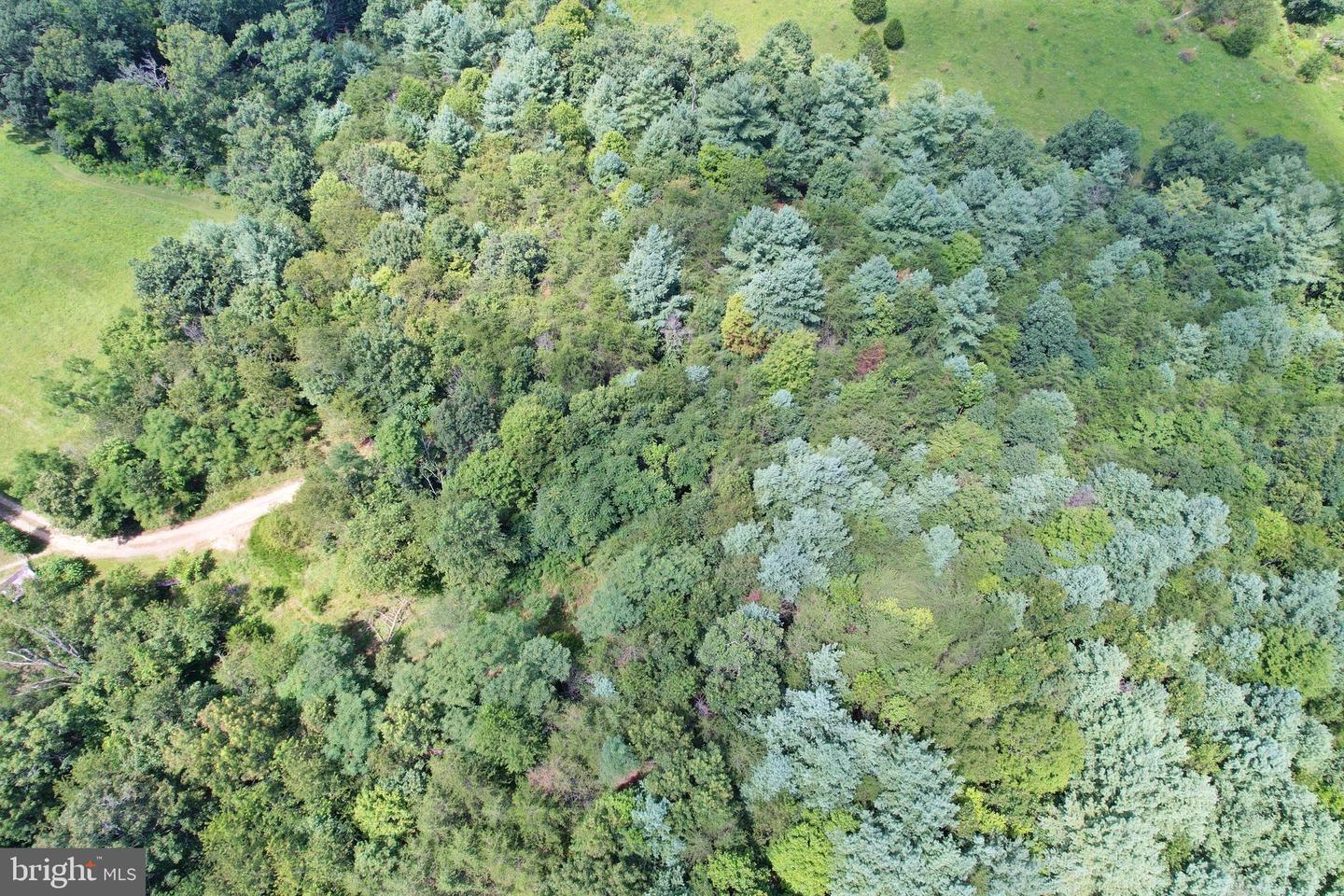 ALUM SPRINGS RD, EDINBURG, Virginia 22824, ,Land,For sale,ALUM SPRINGS RD,VASH2013330 MLS # VASH2013330 ALUM SPRINGS RD, EDINBURG, Virginia 22824, ,Land,For sale,ALUM SPRINGS RD,VASH2013330 MLS # VASH2013330