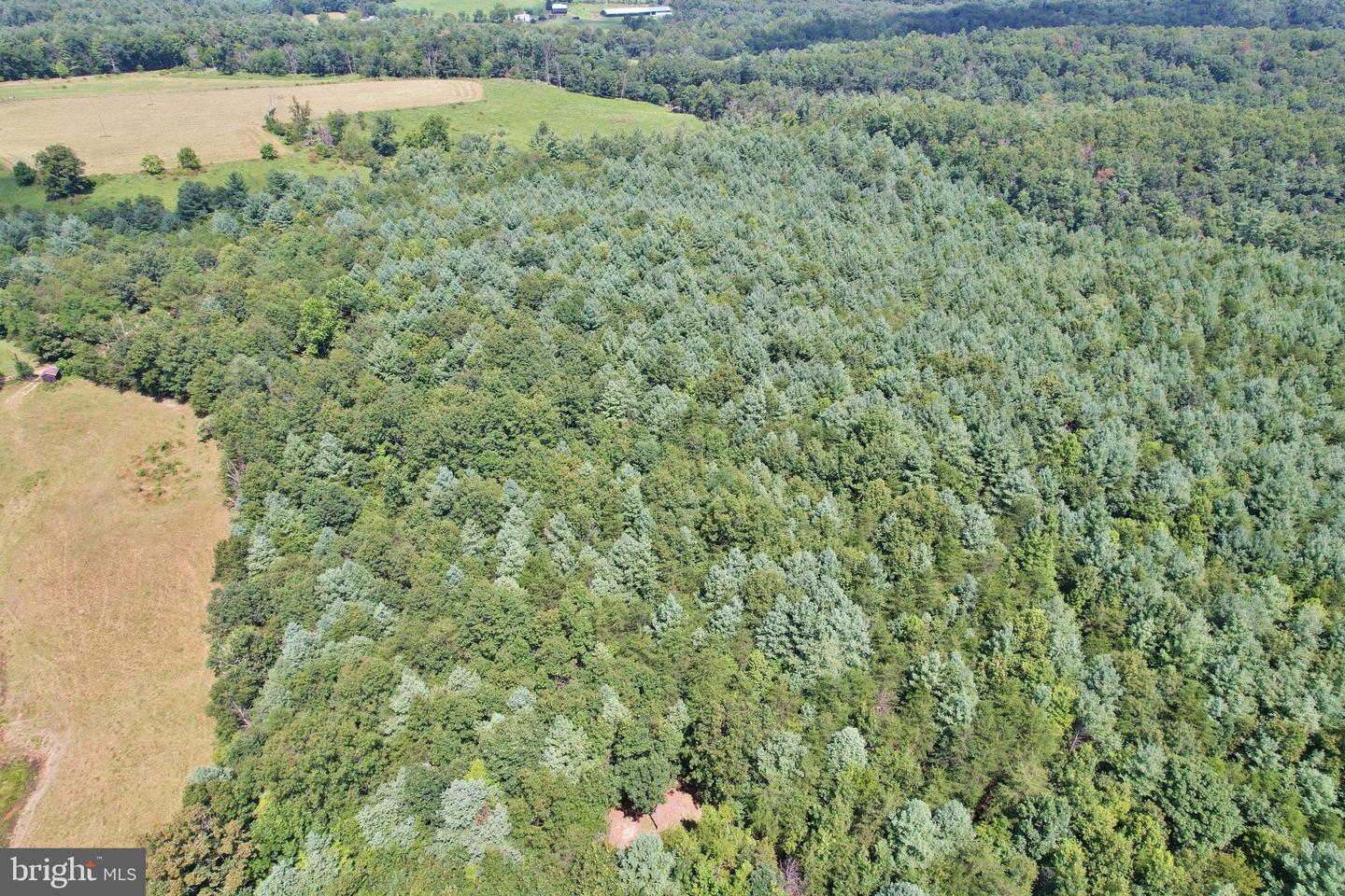 ALUM SPRINGS RD, EDINBURG, Virginia 22824, ,Land,For sale,ALUM SPRINGS RD,VASH2013330 MLS # VASH2013330 ALUM SPRINGS RD, EDINBURG, Virginia 22824, ,Land,For sale,ALUM SPRINGS RD,VASH2013330 MLS # VASH2013330