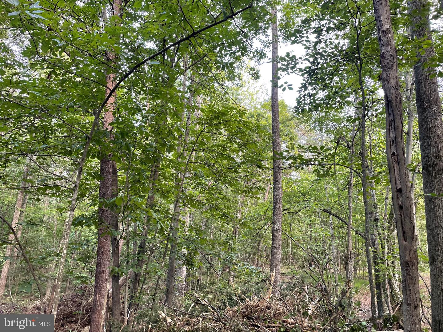 17464 EXECUTIVE LN, CULPEPER, Virginia 22701, 4 Bedrooms Bedrooms, ,1 BathroomBathrooms,Residential,For sale,17464 EXECUTIVE LN,VACU2012356 MLS # VACU2012356