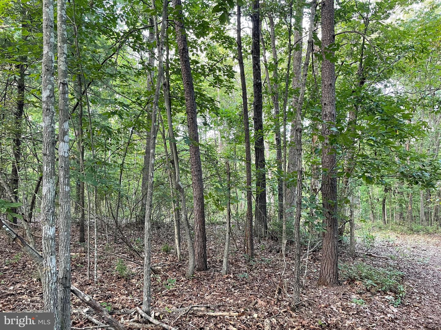 17464 EXECUTIVE LN, CULPEPER, Virginia 22701, 4 Bedrooms Bedrooms, ,1 BathroomBathrooms,Residential,For sale,17464 EXECUTIVE LN,VACU2012356 MLS # VACU2012356