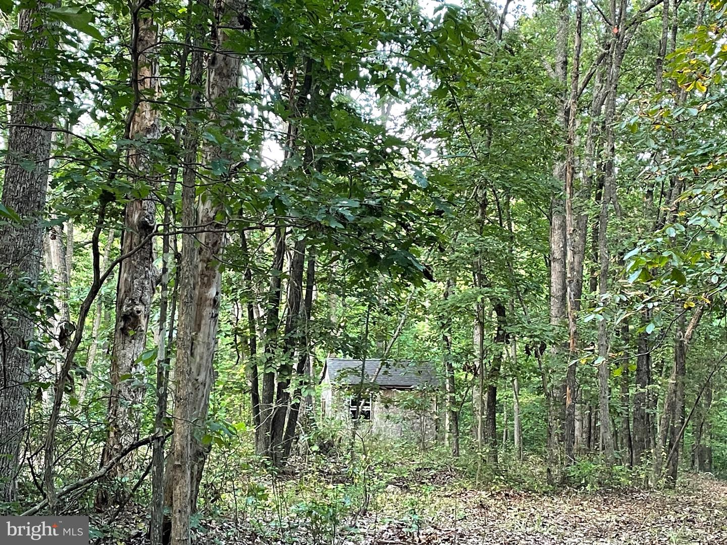 17464 EXECUTIVE LN, CULPEPER, Virginia 22701, 4 Bedrooms Bedrooms, ,1 BathroomBathrooms,Residential,For sale,17464 EXECUTIVE LN,VACU2012356 MLS # VACU2012356