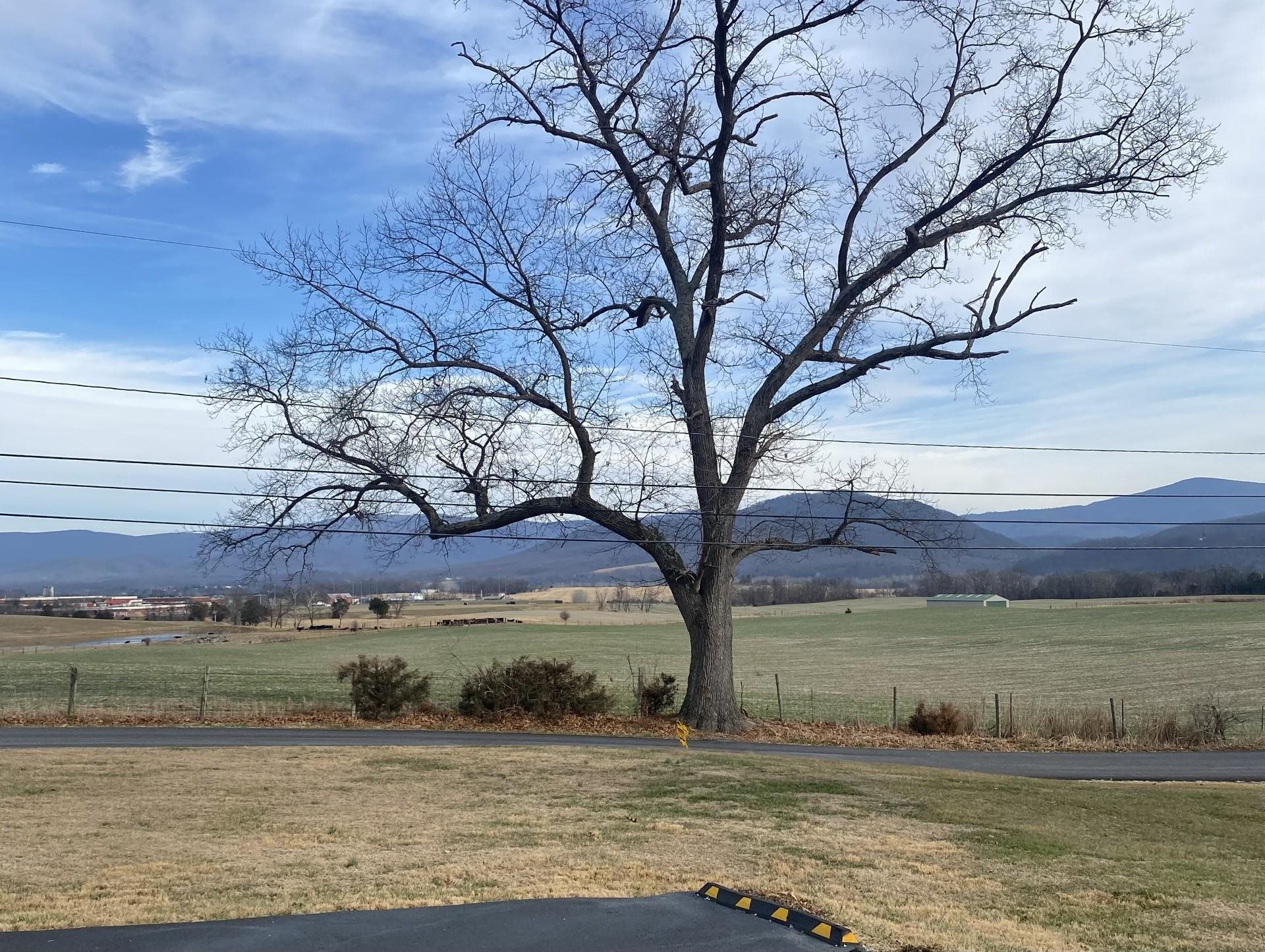 302 HONEYSUCKLE RD, ELKTON, Virginia 22827, 3 Bedrooms Bedrooms, ,2 BathroomsBathrooms,Residential,302 HONEYSUCKLE RD,672325 MLS # 672325