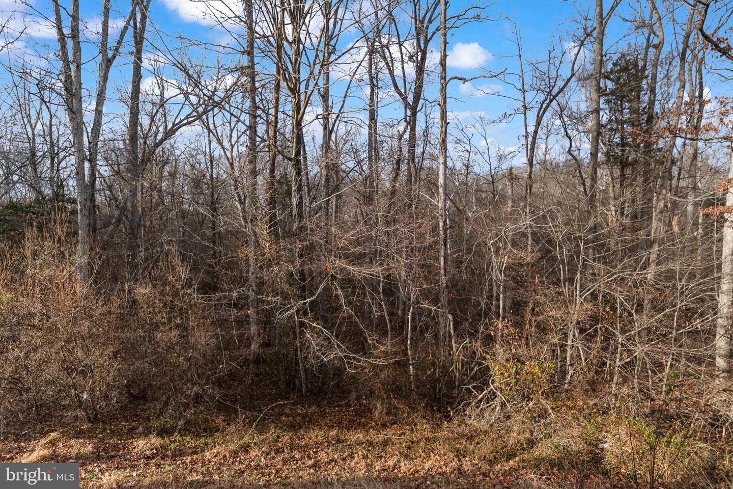 19 PULLER PLACE, STAFFORD, Virginia 22556, 3 Bedrooms Bedrooms, ,3 BathroomsBathrooms,Residential,For sale,19 PULLER PLACE,VAST2044242 MLS # VAST2044242