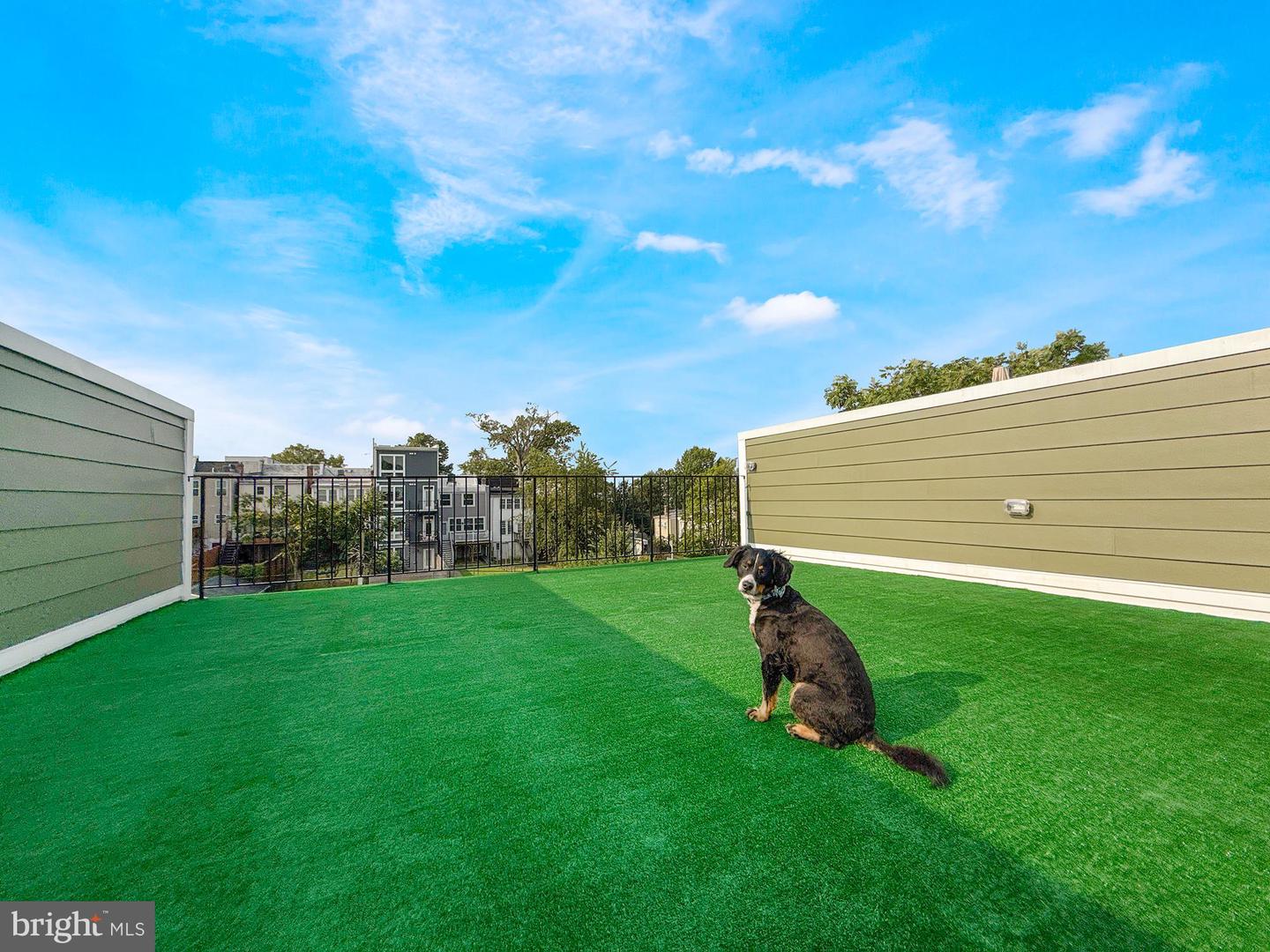 318 WEBSTER ST NW #PH, WASHINGTON, District Of Columbia 20011, 3 Bedrooms Bedrooms, ,2 BathroomsBathrooms,Residential,For sale,318 WEBSTER ST NW #PH,DCDC2240568 MLS # DCDC2240568