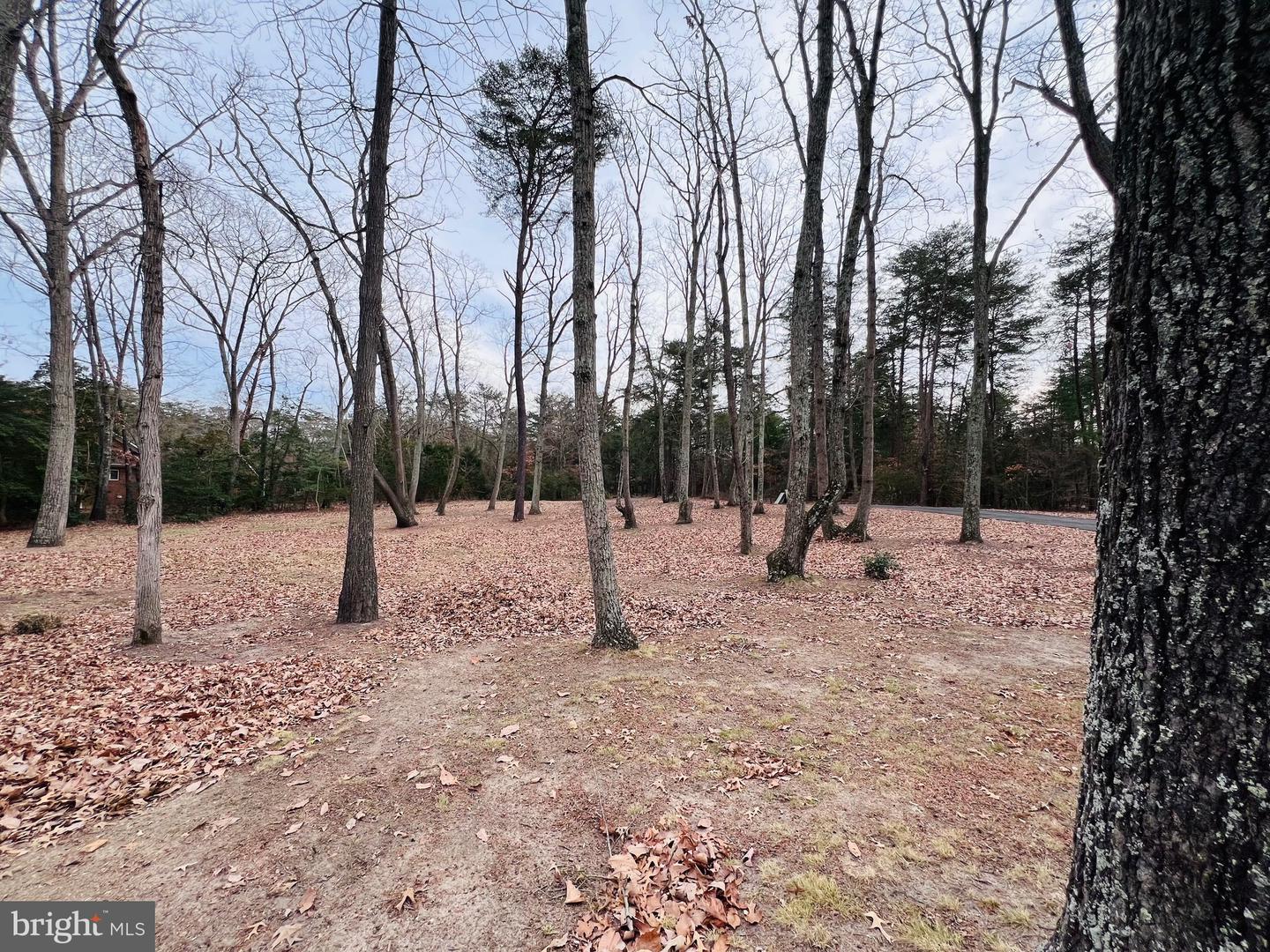 436 THOMPSON CIR, COLONIAL BEACH, Virginia 22443, 4 Bedrooms Bedrooms, ,2 BathroomsBathrooms,Residential,For sale,436 THOMPSON CIR,VAWE2010346 MLS # VAWE2010346