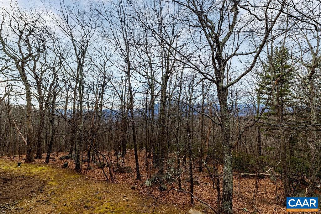 765 LAURELWOOD CONDOS, WINTERGREEN RESORT, Virginia 22967, 2 Bedrooms Bedrooms, ,2 BathroomsBathrooms,Residential,For sale,765 LAURELWOOD CONDOS,672327 MLS # 672327 765 LAURELWOOD CONDOS, WINTERGREEN RESORT, Virginia 22967, 2 Bedrooms Bedrooms, ,2 BathroomsBathrooms,Residential,For sale,765 LAURELWOOD CONDOS,672327 MLS # 672327