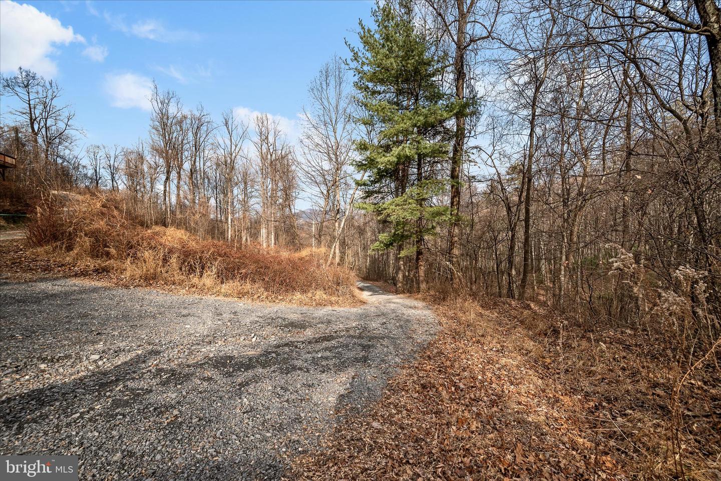 217 JEWELL RD, LURAY, Virginia 22835, 3 Bedrooms Bedrooms, ,2 BathroomsBathrooms,Residential,For sale,217 JEWELL RD,VAPA2005854 MLS # VAPA2005854