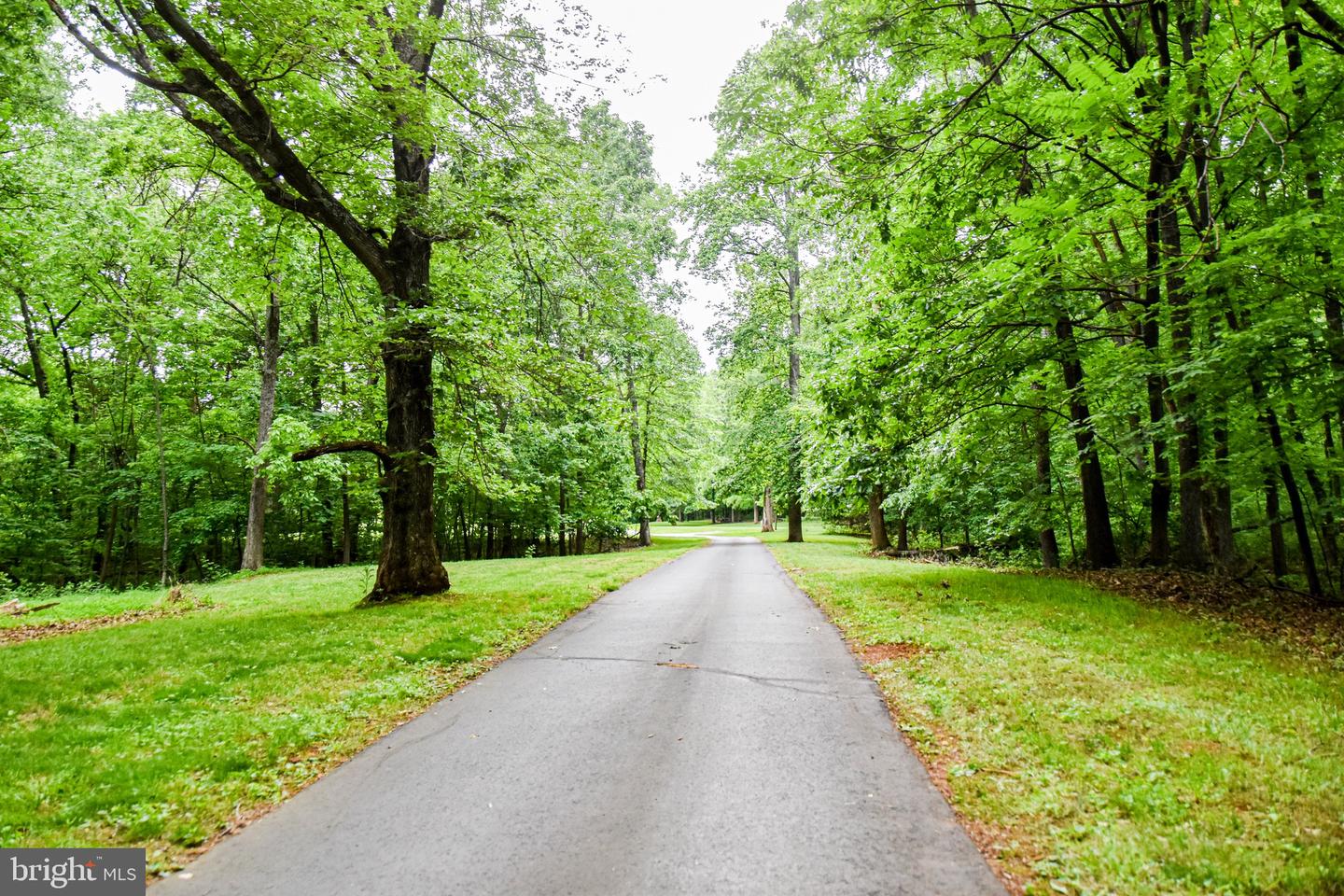 21246 CLARKS MOUNTAIN RD, RAPIDAN, Virginia 22733, 3 Bedrooms Bedrooms, ,3 BathroomsBathrooms,Residential,For sale,21246 CLARKS MOUNTAIN RD,VAOR2013092 MLS # VAOR2013092