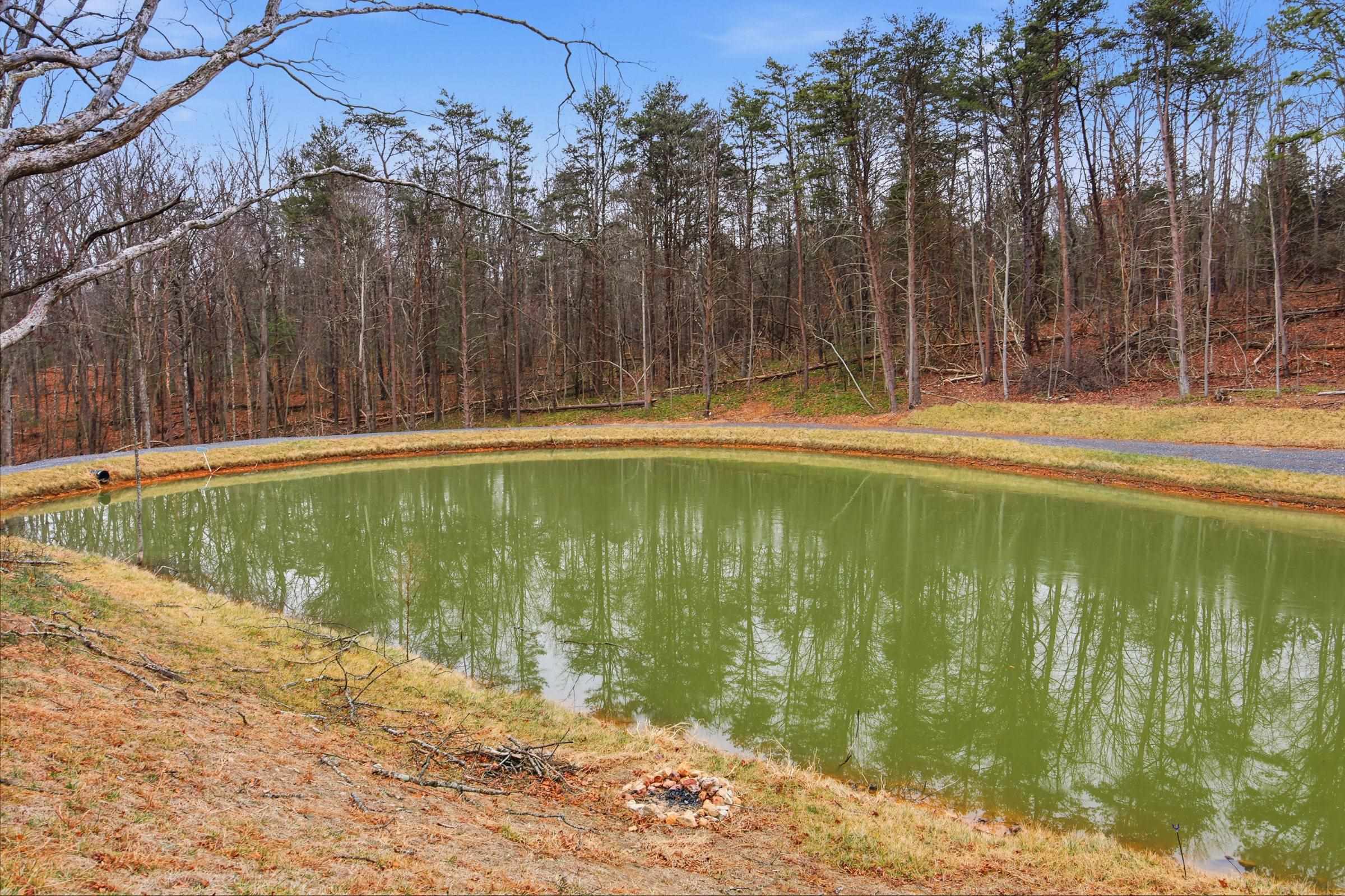 709 STULTZ GAP RD, EDINBURG, Virginia 22824, ,Land,709 STULTZ GAP RD,672365 MLS # 672365 709 STULTZ GAP RD, EDINBURG, Virginia 22824, ,Land,709 STULTZ GAP RD,672365 MLS # 672365