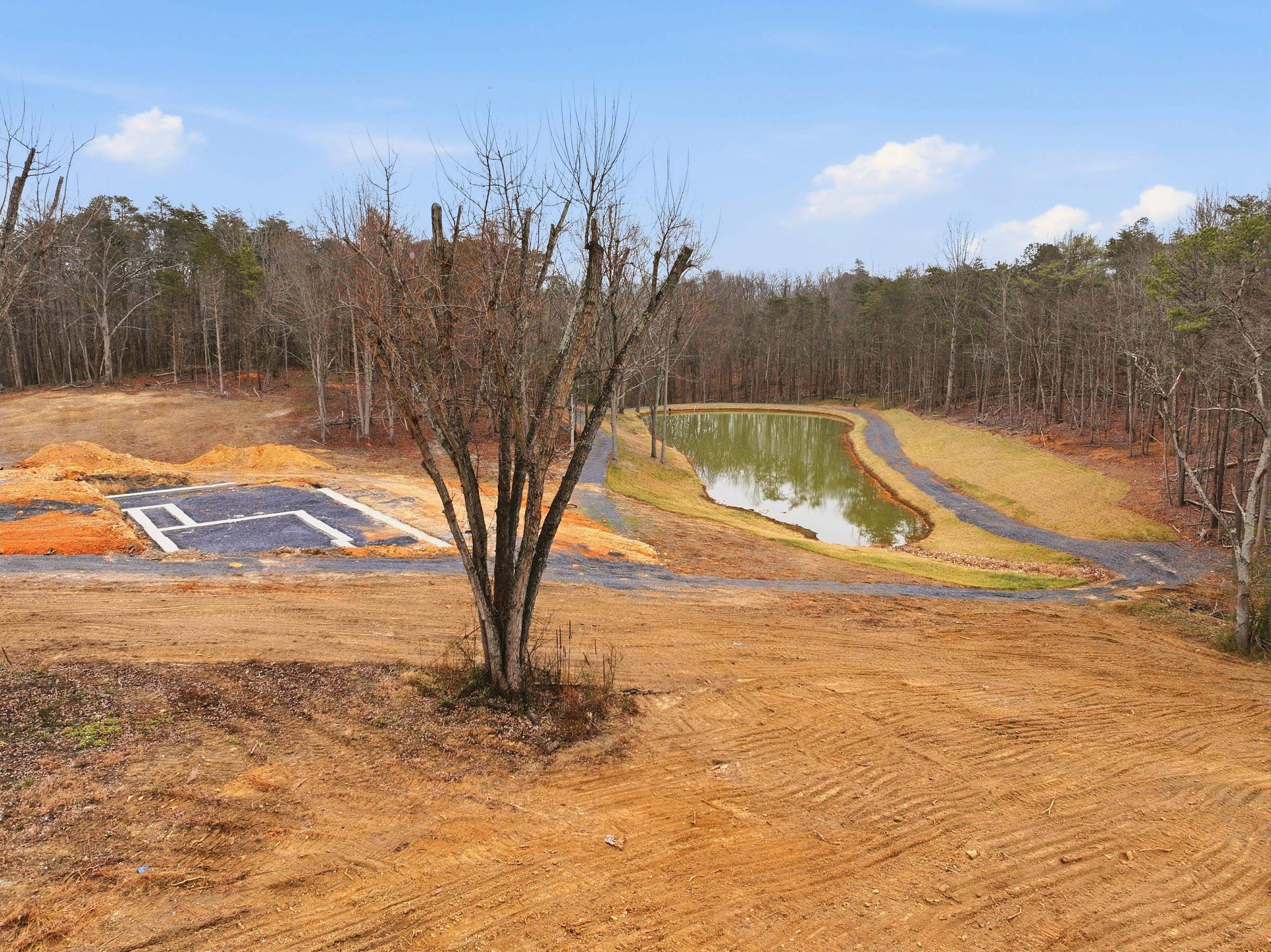 709 STULTZ GAP RD, EDINBURG, Virginia 22824, ,Land,709 STULTZ GAP RD,672365 MLS # 672365 709 STULTZ GAP RD, EDINBURG, Virginia 22824, ,Land,709 STULTZ GAP RD,672365 MLS # 672365