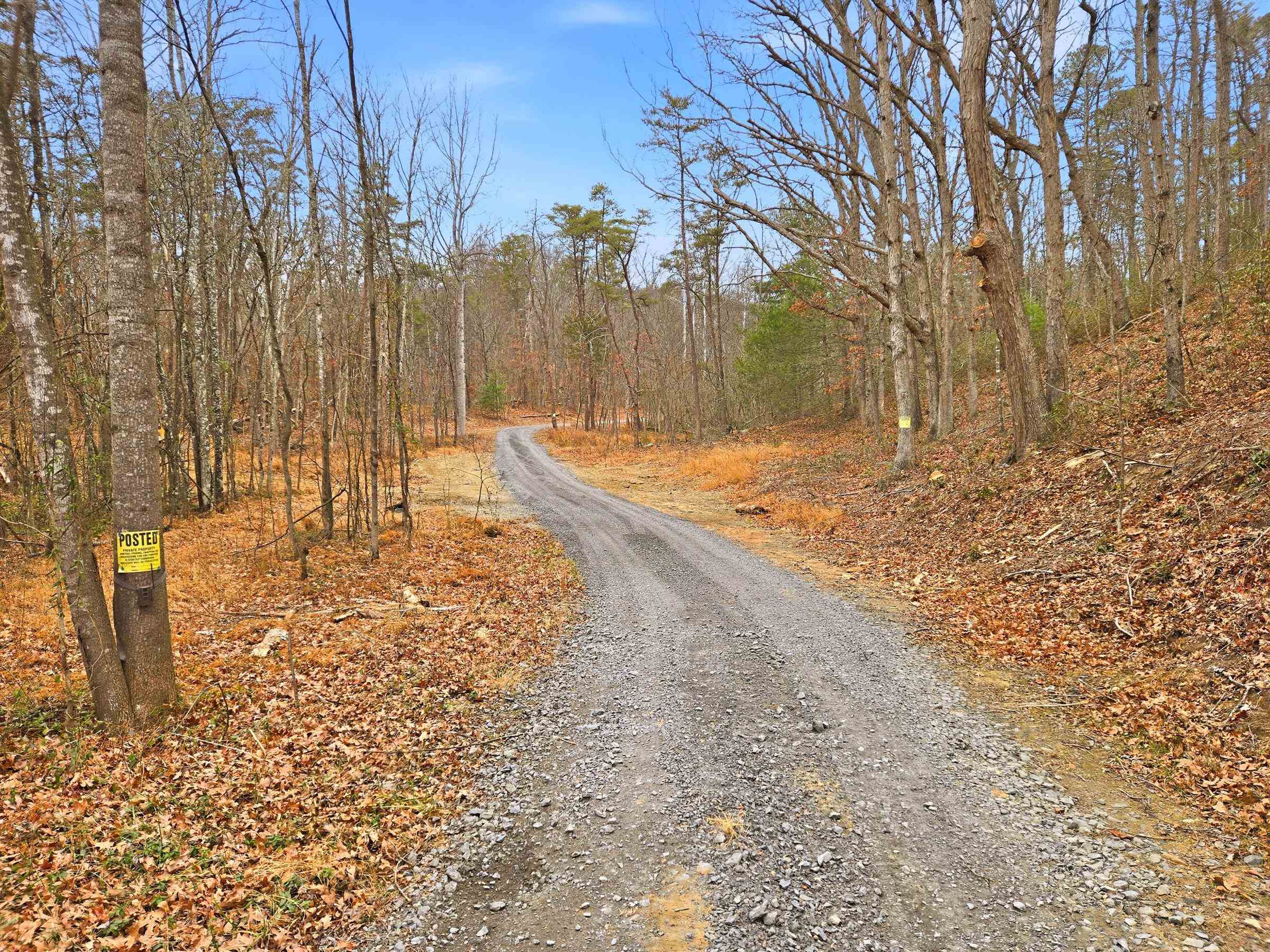 709 STULTZ GAP RD, EDINBURG, Virginia 22824, ,Land,709 STULTZ GAP RD,672365 MLS # 672365 709 STULTZ GAP RD, EDINBURG, Virginia 22824, ,Land,709 STULTZ GAP RD,672365 MLS # 672365