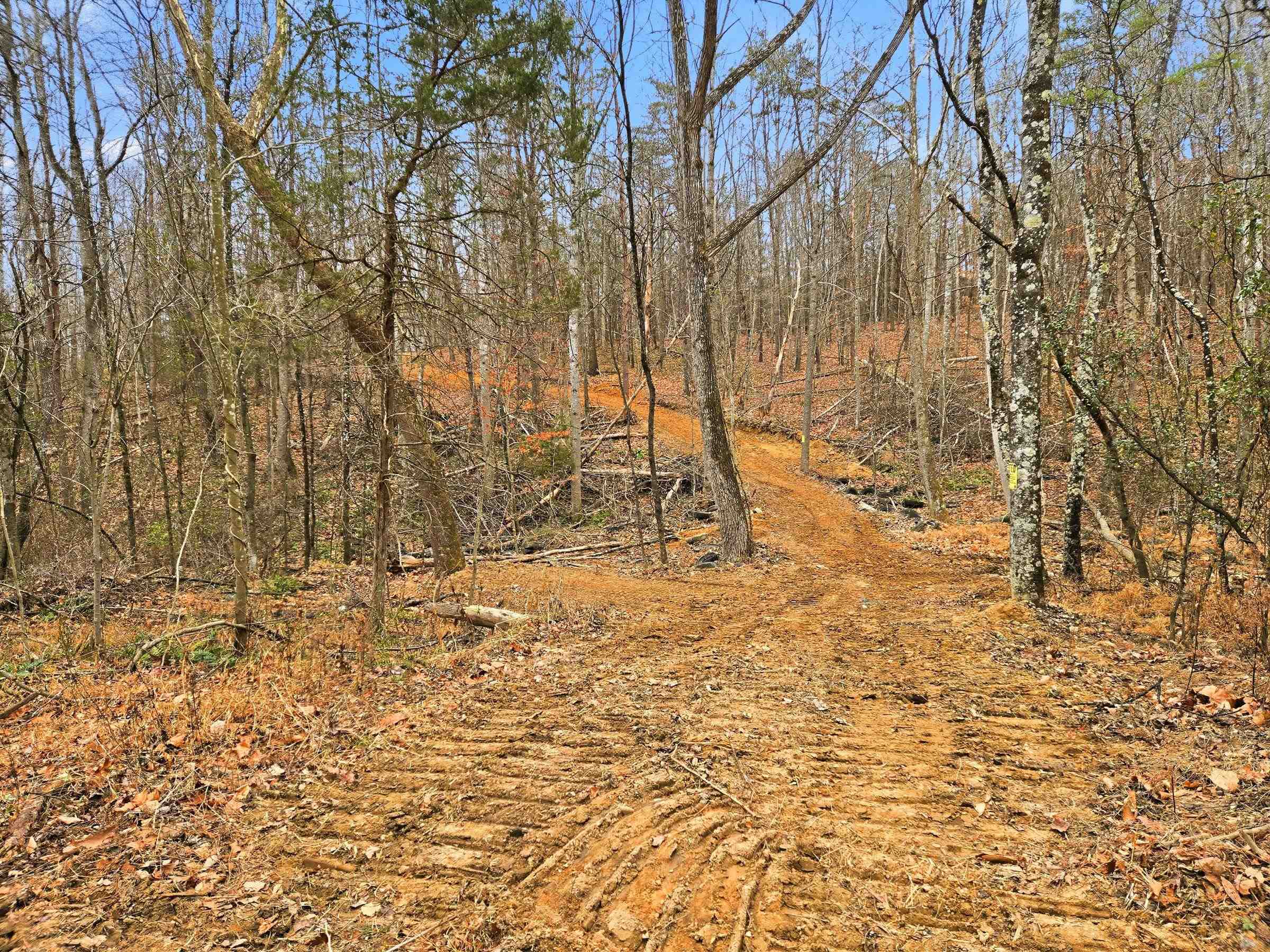 709 STULTZ GAP RD, EDINBURG, Virginia 22824, ,Land,709 STULTZ GAP RD,672365 MLS # 672365 709 STULTZ GAP RD, EDINBURG, Virginia 22824, ,Land,709 STULTZ GAP RD,672365 MLS # 672365