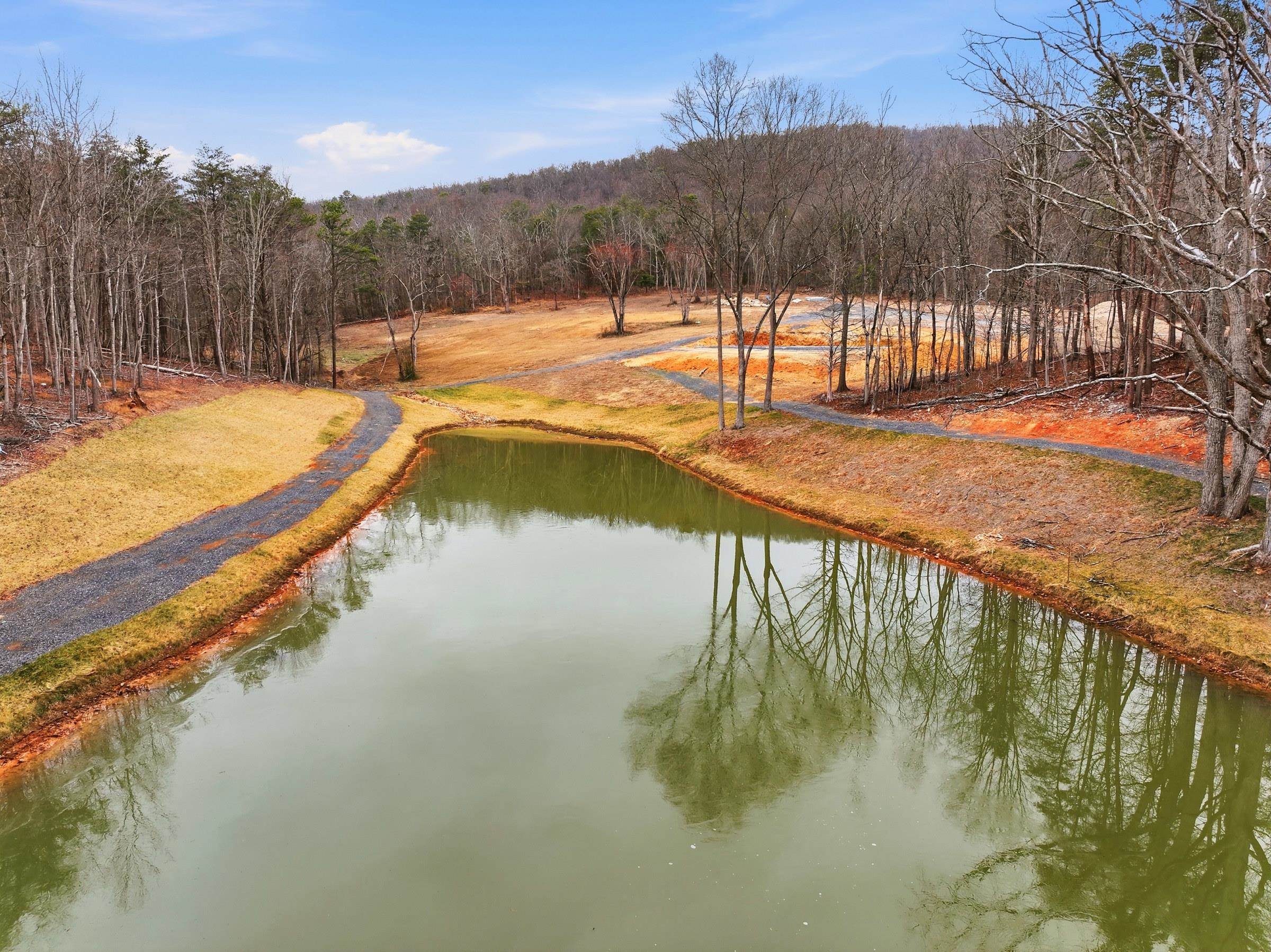 709 STULTZ GAP RD, EDINBURG, Virginia 22824, ,Land,709 STULTZ GAP RD,672365 MLS # 672365 709 STULTZ GAP RD, EDINBURG, Virginia 22824, ,Land,709 STULTZ GAP RD,672365 MLS # 672365