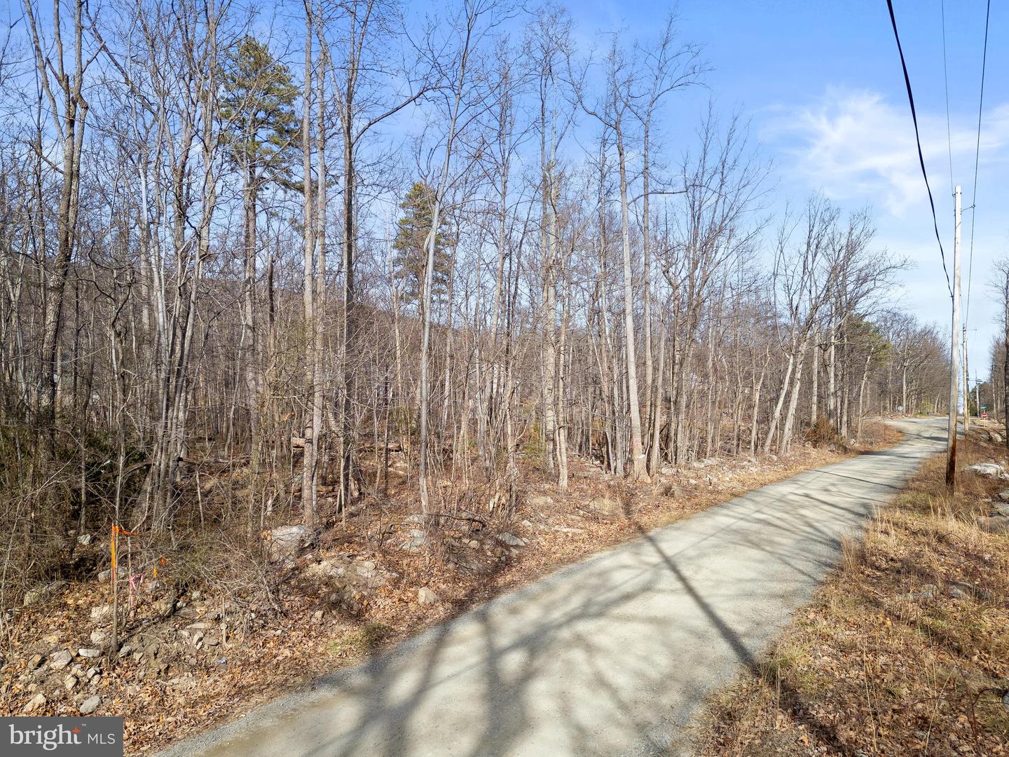 CARDINAL DR, WINCHESTER, Virginia 22602, ,Land,For sale,CARDINAL DR,VAFV2038738 MLS # VAFV2038738