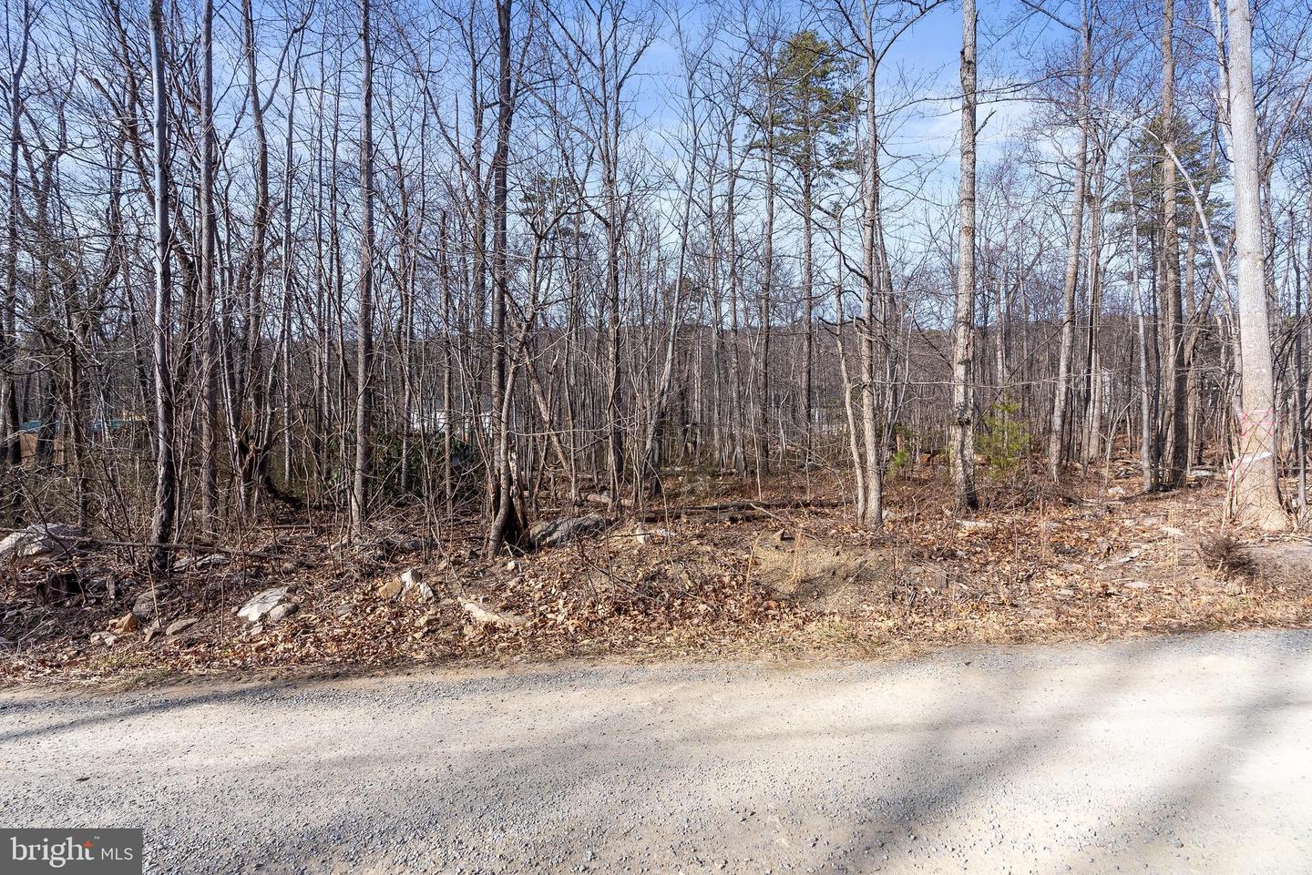 CARDINAL DR, WINCHESTER, Virginia 22602, ,Land,For sale,CARDINAL DR,VAFV2038738 MLS # VAFV2038738