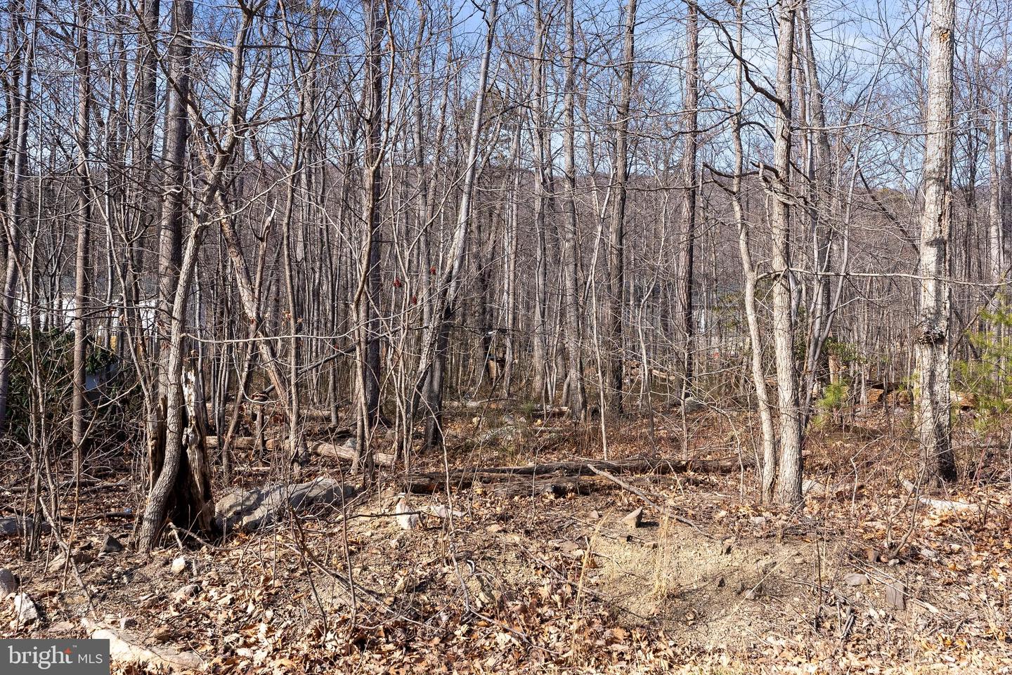 CARDINAL DR, WINCHESTER, Virginia 22602, ,Land,For sale,CARDINAL DR,VAFV2038738 MLS # VAFV2038738