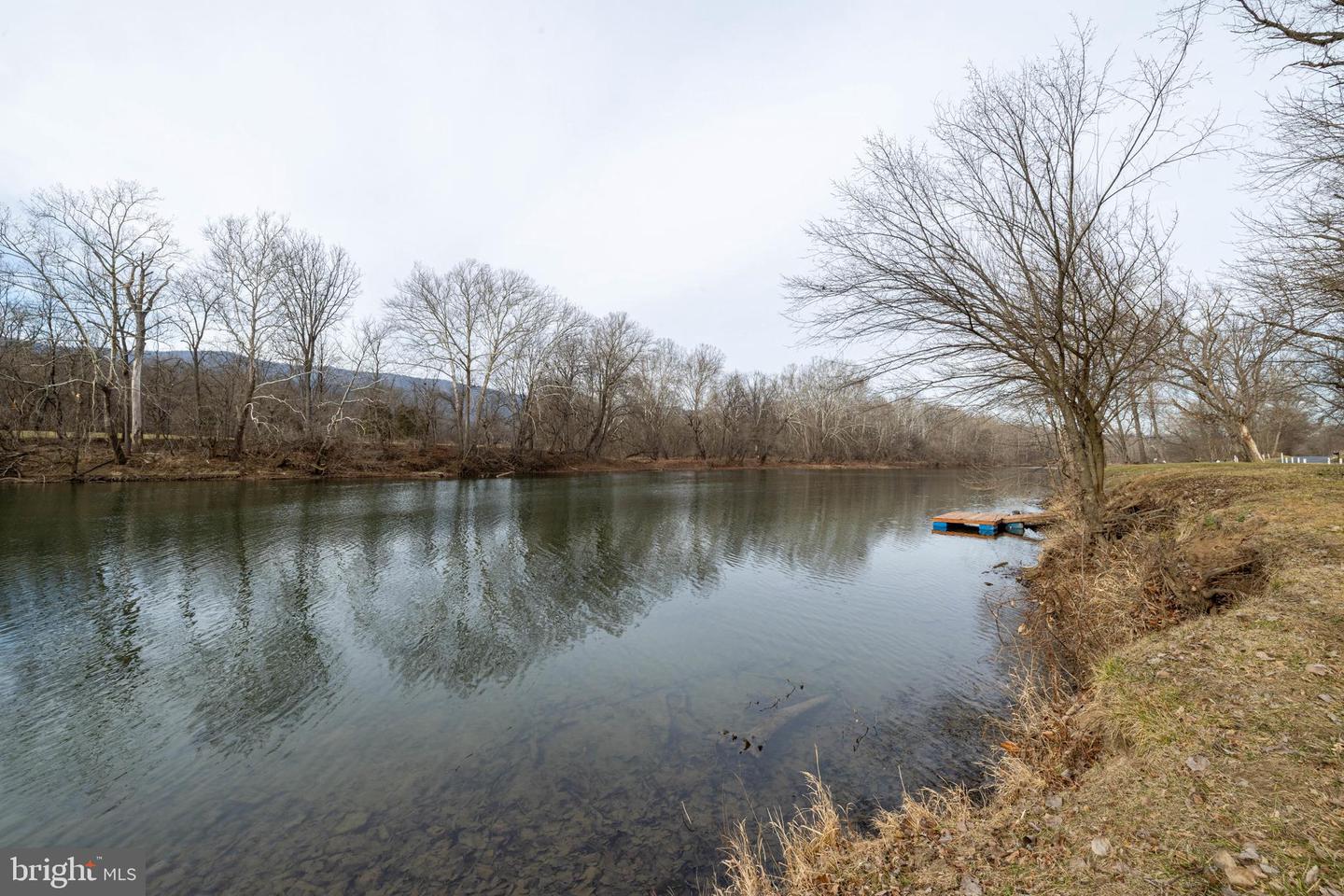 0 SHENANDOAH RIVER RD, SHENANDOAH, Virginia 22849, ,Land,For sale,0 SHENANDOAH RIVER RD,VAPA2005848 MLS # VAPA2005848