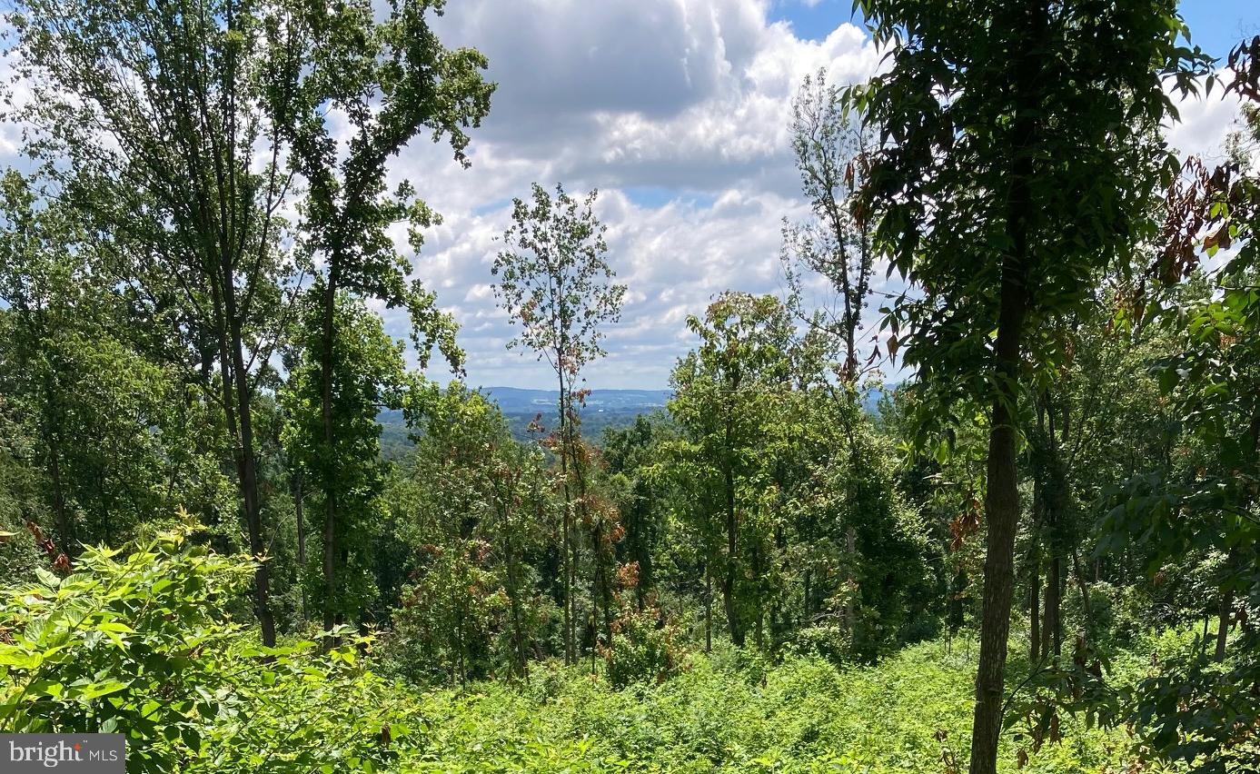 13477 MOUNTAIN ROAD, LOVETTSVILLE, Virginia 20180, ,Land,For sale,13477 MOUNTAIN ROAD,VALO2113696 MLS # VALO2113696