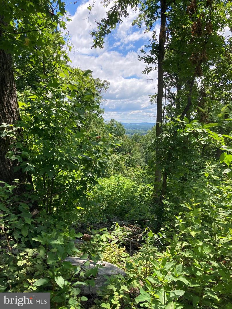 13477 MOUNTAIN ROAD, LOVETTSVILLE, Virginia 20180, ,Land,For sale,13477 MOUNTAIN ROAD,VALO2113696 MLS # VALO2113696