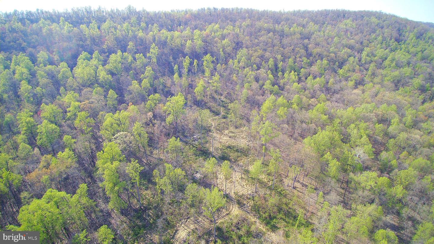 13477 MOUNTAIN ROAD, LOVETTSVILLE, Virginia 20180, ,Land,For sale,13477 MOUNTAIN ROAD,VALO2113696 MLS # VALO2113696