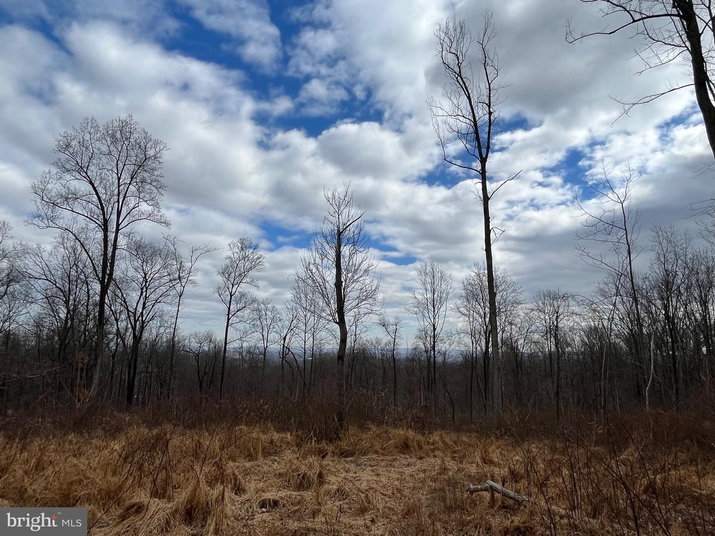 13477 MOUNTAIN ROAD, LOVETTSVILLE, Virginia 20180, ,Land,For sale,13477 MOUNTAIN ROAD,VALO2113696 MLS # VALO2113696