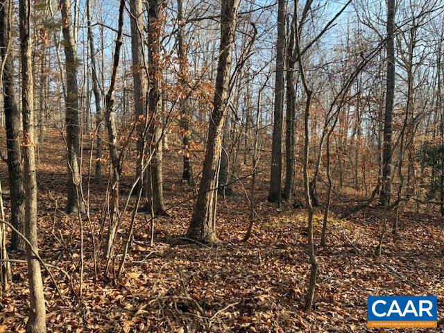 0 GLEN EAGLES DR #13, GORDONSVILLE, Virginia 22942, ,Land,For sale,0 GLEN EAGLES DR #13,672366 MLS # 672366