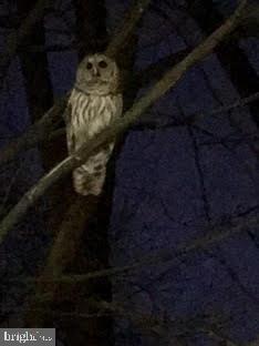 3720 39TH ST NW #D166, WASHINGTON, District Of Columbia 20016, 1 Bedroom Bedrooms, ,1 BathroomBathrooms,Residential,For sale,3720 39TH ST NW #D166,DCDC2220154 MLS # DCDC2220154