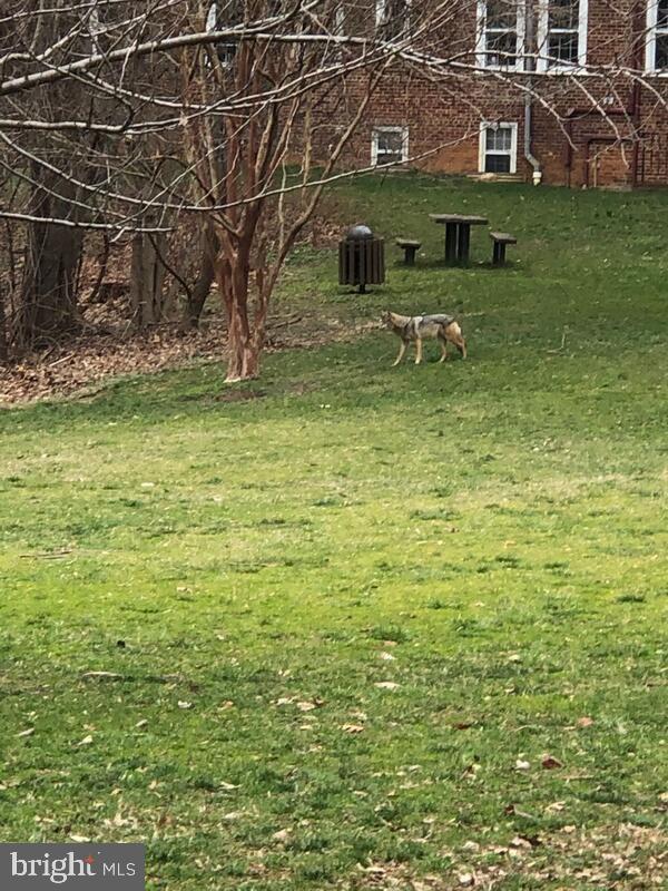 3720 39TH ST NW #D166, WASHINGTON, District Of Columbia 20016, 1 Bedroom Bedrooms, ,1 BathroomBathrooms,Residential,For sale,3720 39TH ST NW #D166,DCDC2220154 MLS # DCDC2220154