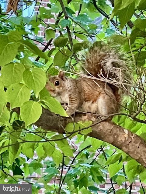 3720 39TH ST NW #D166, WASHINGTON, District Of Columbia 20016, 1 Bedroom Bedrooms, ,1 BathroomBathrooms,Residential,For sale,3720 39TH ST NW #D166,DCDC2220154 MLS # DCDC2220154