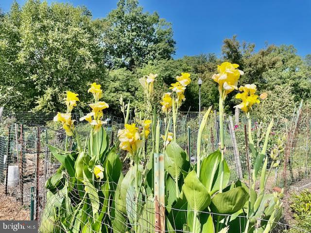 3720 39TH ST NW #D166, WASHINGTON, District Of Columbia 20016, 1 Bedroom Bedrooms, ,1 BathroomBathrooms,Residential,For sale,3720 39TH ST NW #D166,DCDC2220154 MLS # DCDC2220154