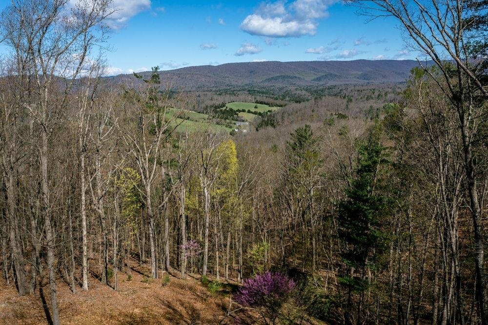 9586 BRUNK SPRING LN, BROADWAY, Virginia 22815, 3 Bedrooms Bedrooms, ,3 BathroomsBathrooms,Residential,9586 BRUNK SPRING LN,663559 MLS # 663559