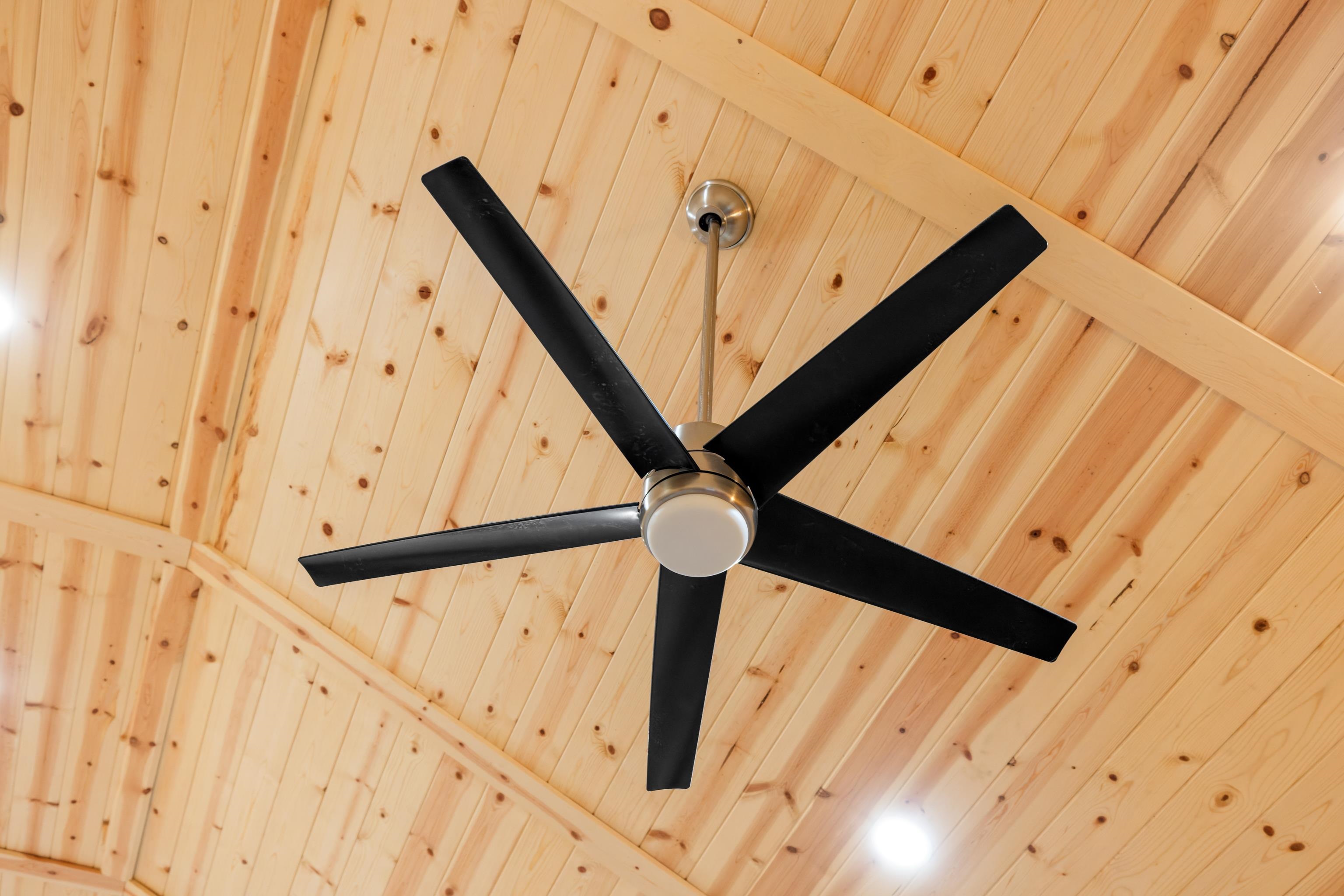 267 GROUSE DR, MCGAHEYSVILLE, Virginia 22840, 6 Bedrooms Bedrooms, ,3 BathroomsBathrooms,Residential,267 GROUSE DR,672339 MLS # 672339