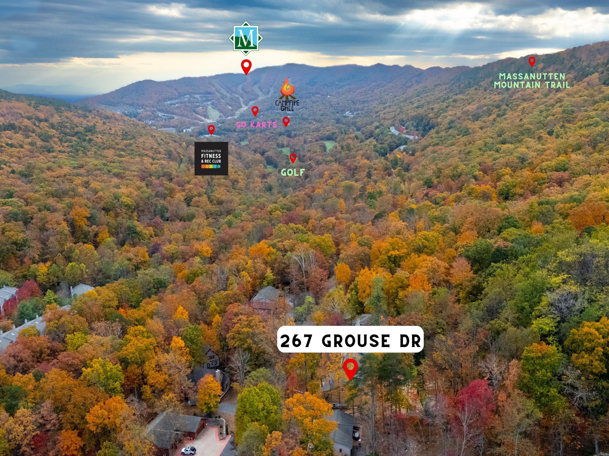 267 GROUSE DR, MCGAHEYSVILLE, Virginia 22840, 6 Bedrooms Bedrooms, ,3 BathroomsBathrooms,Residential,267 GROUSE DR,672339 MLS # 672339