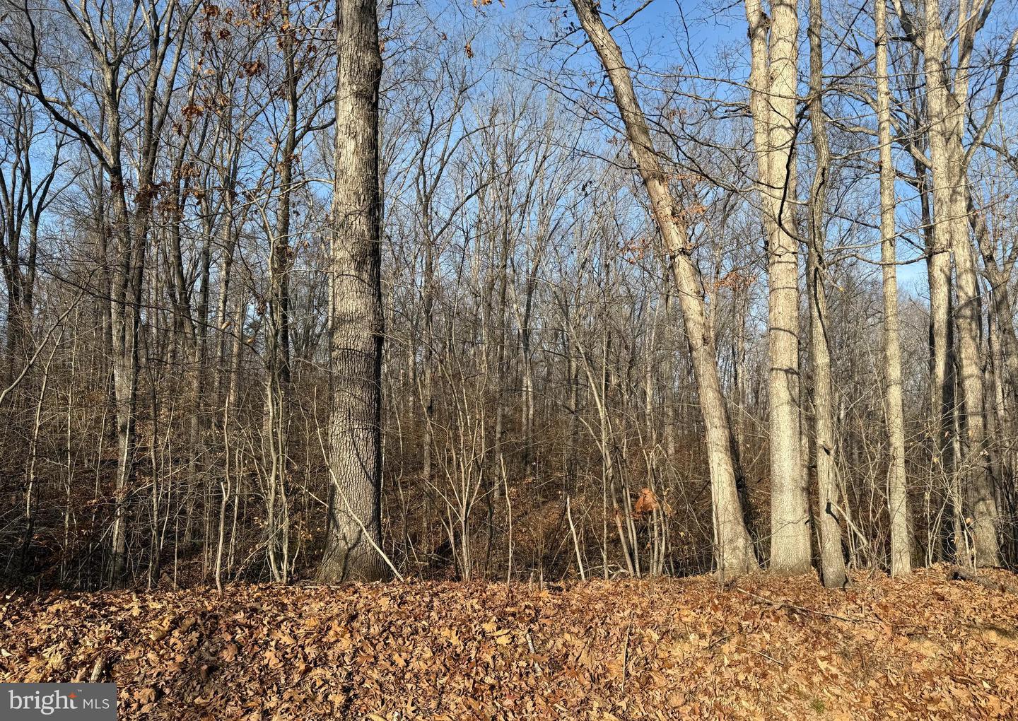 6002 STUBBS BRIDGE RD, MINERAL, Virginia 23117, ,Land,For sale,6002 STUBBS BRIDGE RD,VASP2038452 MLS # VASP2038452 6002 STUBBS BRIDGE RD, MINERAL, Virginia 23117, ,Land,For sale,6002 STUBBS BRIDGE RD,VASP2038452 MLS # VASP2038452