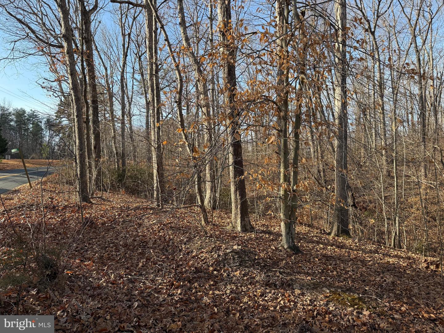 6002 STUBBS BRIDGE RD, MINERAL, Virginia 23117, ,Land,For sale,6002 STUBBS BRIDGE RD,VASP2038452 MLS # VASP2038452 6002 STUBBS BRIDGE RD, MINERAL, Virginia 23117, ,Land,For sale,6002 STUBBS BRIDGE RD,VASP2038452 MLS # VASP2038452