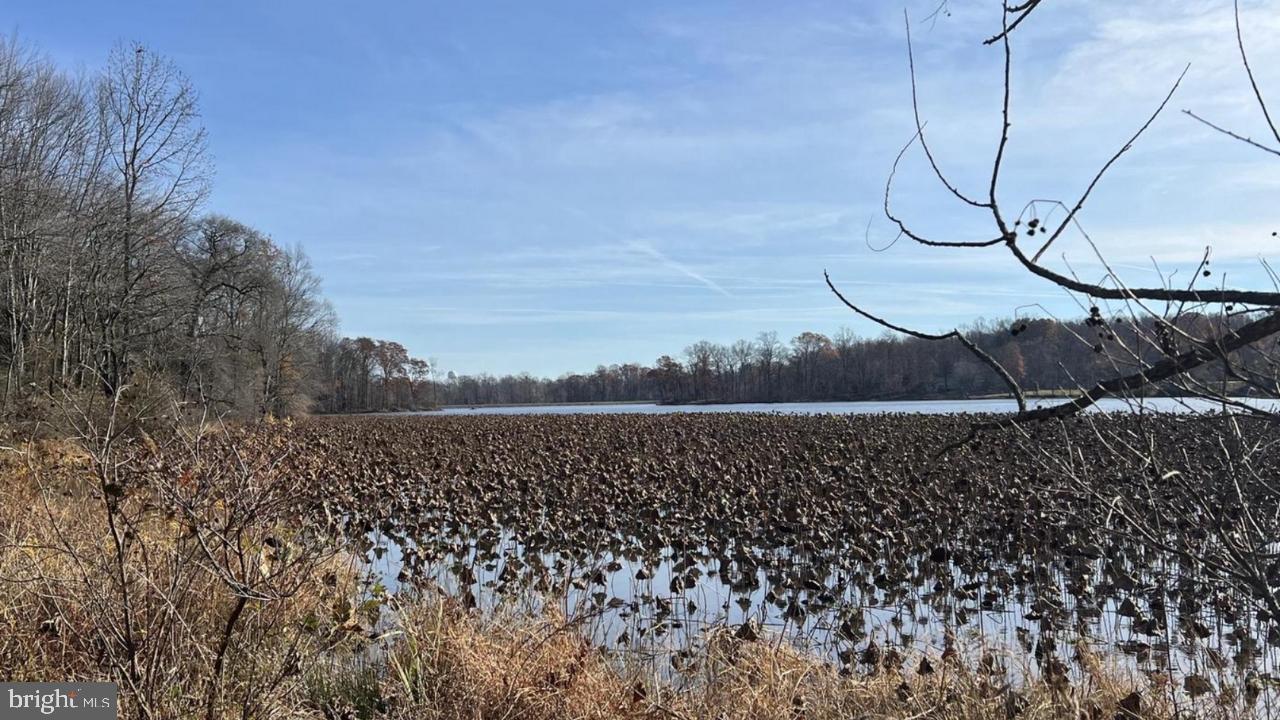 0 RILEY RD, WARRENTON, Virginia 20187, ,Land,For sale,0 RILEY RD,VAFQ2020090 MLS # VAFQ2020090