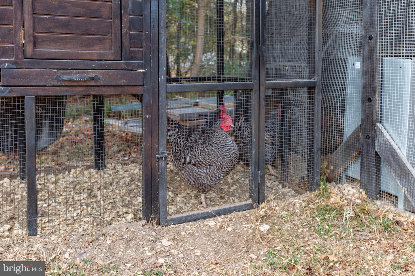 9408 STONEGATE LANE, RHOADESVILLE, Virginia 22542, 3 Bedrooms Bedrooms, ,2 BathroomsBathrooms,Residential,For sale,9408 STONEGATE LANE,VAOR2013076 MLS # VAOR2013076