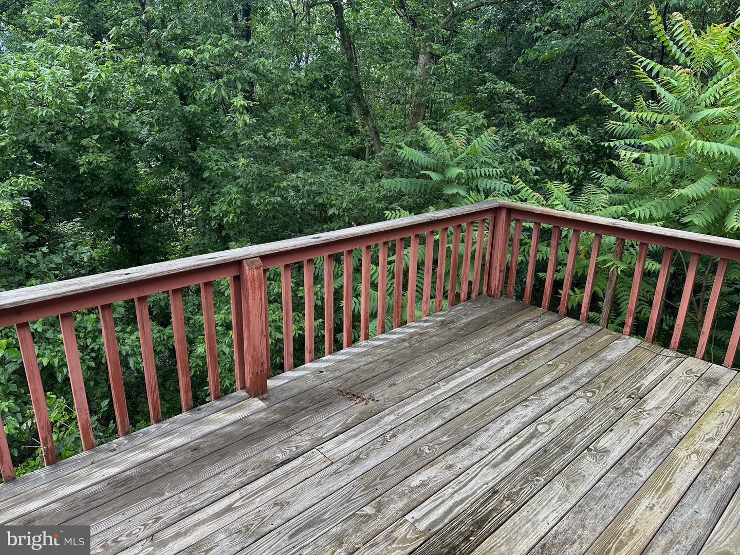 769 S WATER ST, WOODSTOCK, Virginia 22664, 4 Bedrooms Bedrooms, ,2 BathroomsBathrooms,Residential,For sale,769 S WATER ST,VASH2013334 MLS # VASH2013334