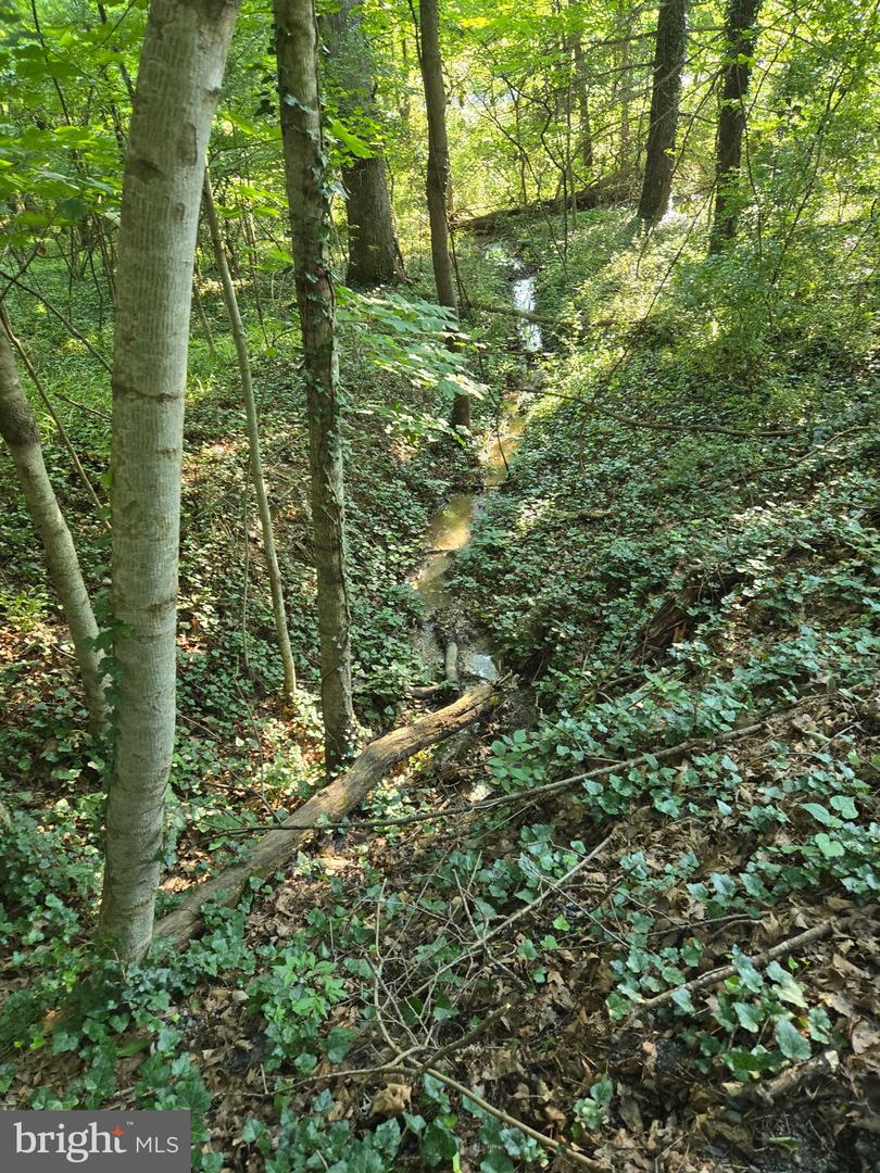 769 S WATER ST, WOODSTOCK, Virginia 22664, 4 Bedrooms Bedrooms, ,2 BathroomsBathrooms,Residential,For sale,769 S WATER ST,VASH2013334 MLS # VASH2013334