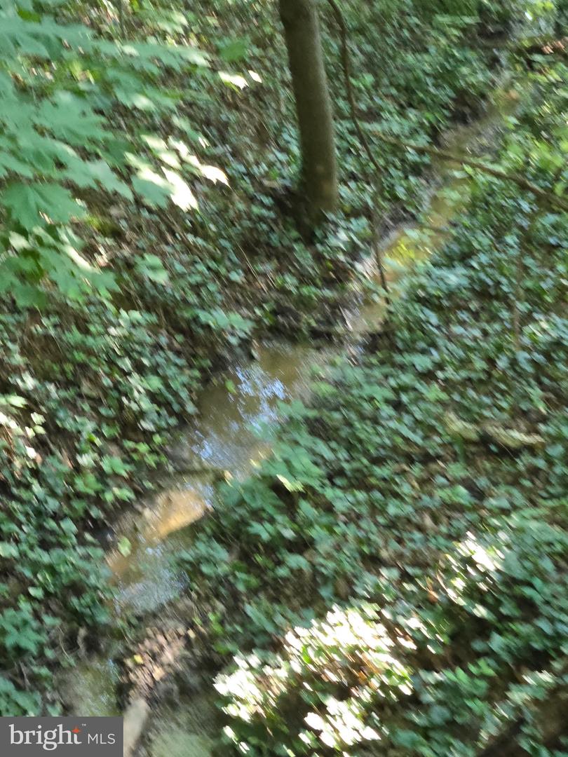 769 S WATER ST, WOODSTOCK, Virginia 22664, 4 Bedrooms Bedrooms, ,2 BathroomsBathrooms,Residential,For sale,769 S WATER ST,VASH2013334 MLS # VASH2013334