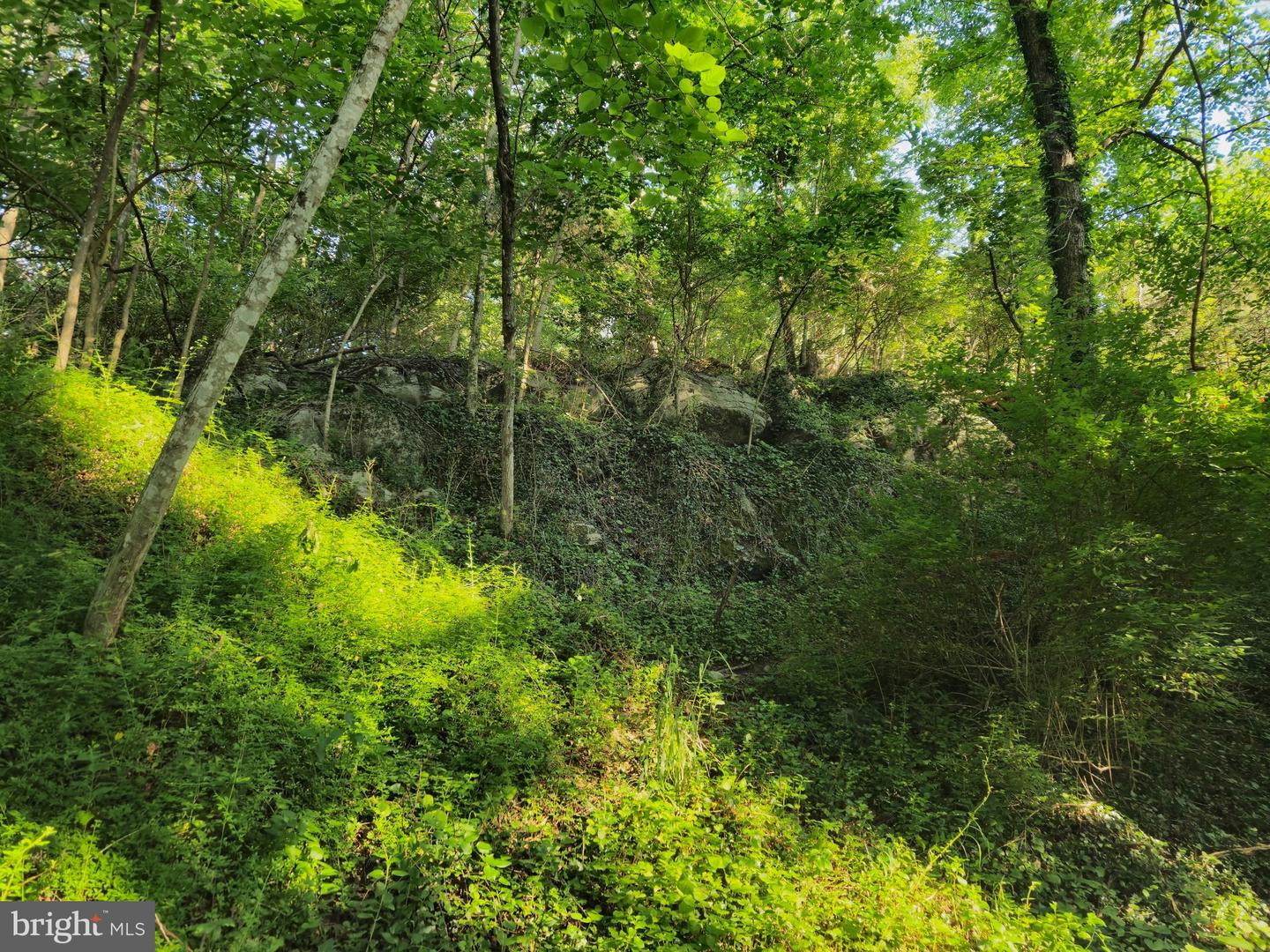 769 S WATER ST, WOODSTOCK, Virginia 22664, 4 Bedrooms Bedrooms, ,2 BathroomsBathrooms,Residential,For sale,769 S WATER ST,VASH2013334 MLS # VASH2013334