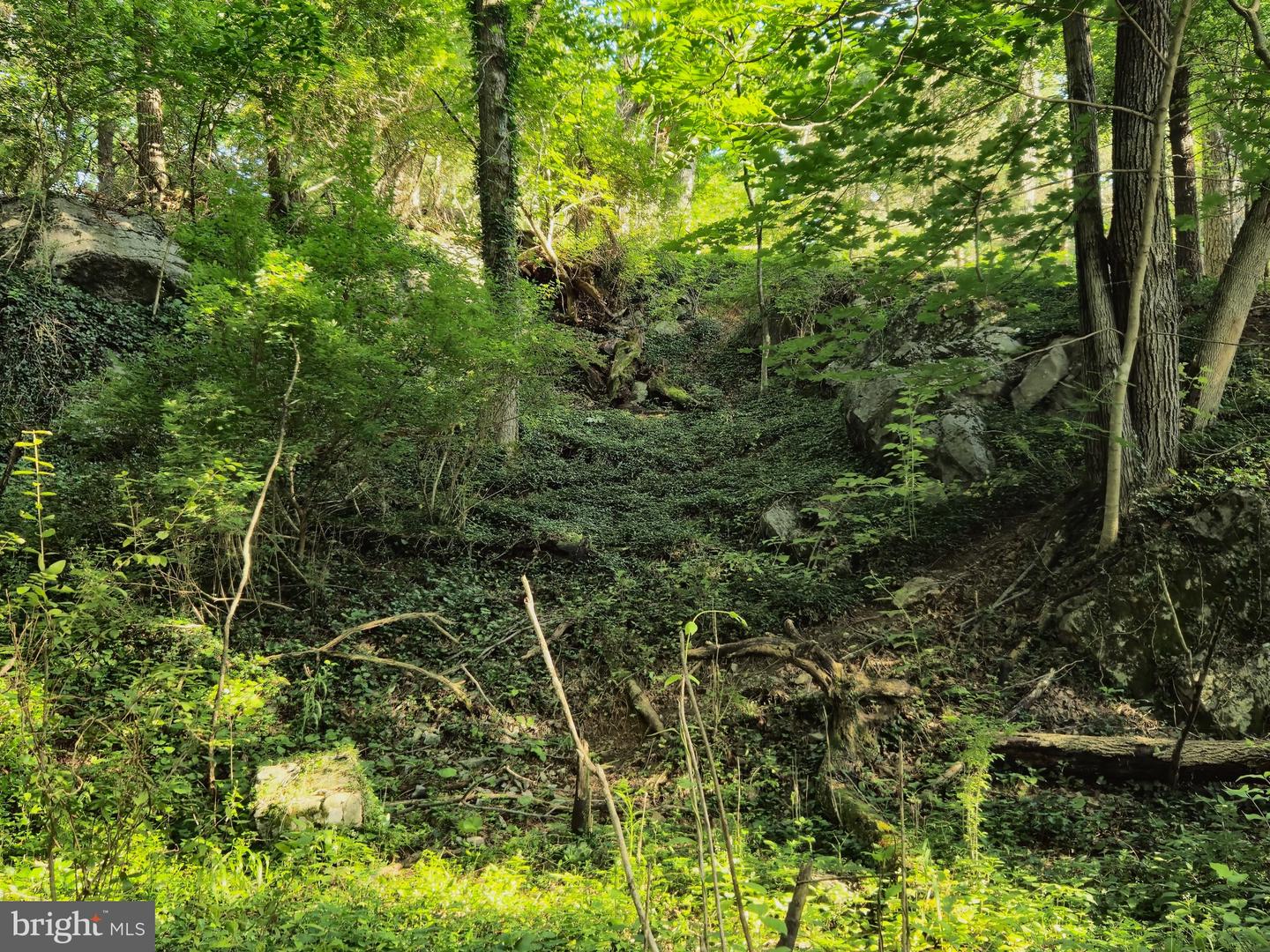 769 S WATER ST, WOODSTOCK, Virginia 22664, 4 Bedrooms Bedrooms, ,2 BathroomsBathrooms,Residential,For sale,769 S WATER ST,VASH2013334 MLS # VASH2013334