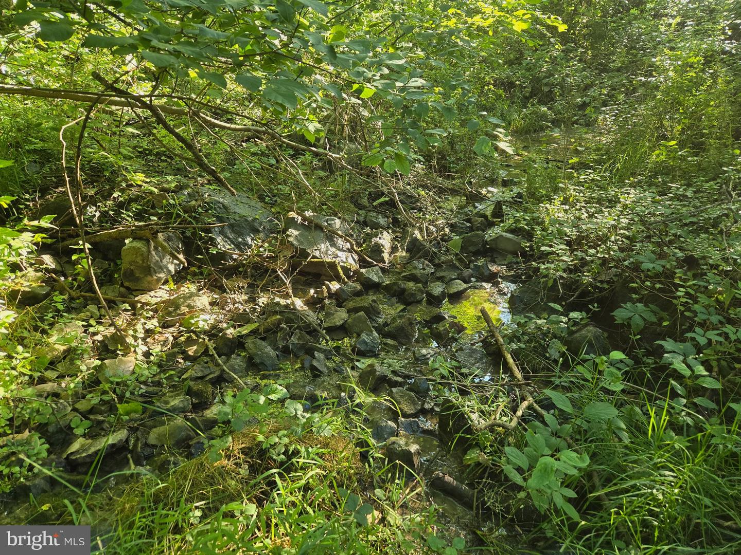 769 S WATER ST, WOODSTOCK, Virginia 22664, 4 Bedrooms Bedrooms, ,2 BathroomsBathrooms,Residential,For sale,769 S WATER ST,VASH2013334 MLS # VASH2013334